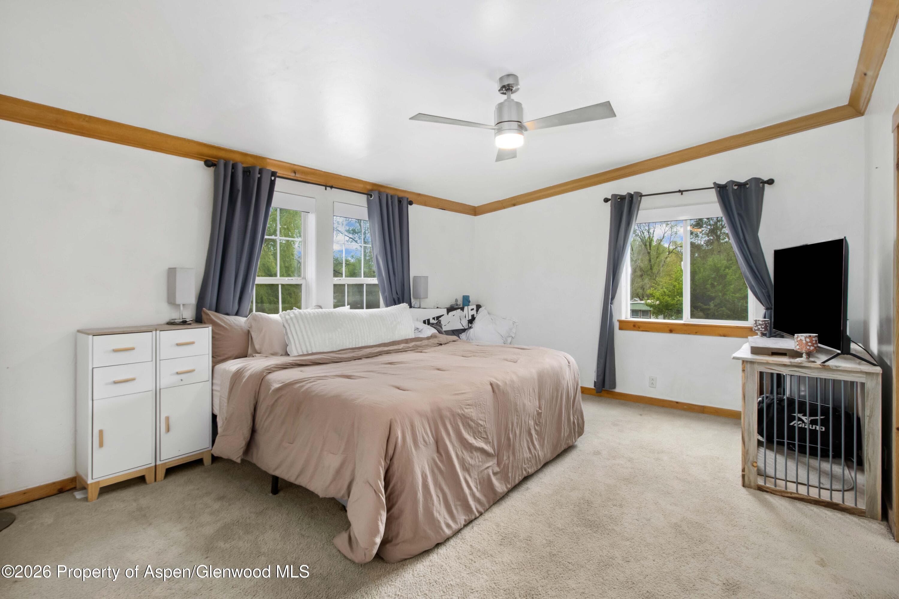 220 N Sheryl Drive, Silt, CO 81652 - Photo 10