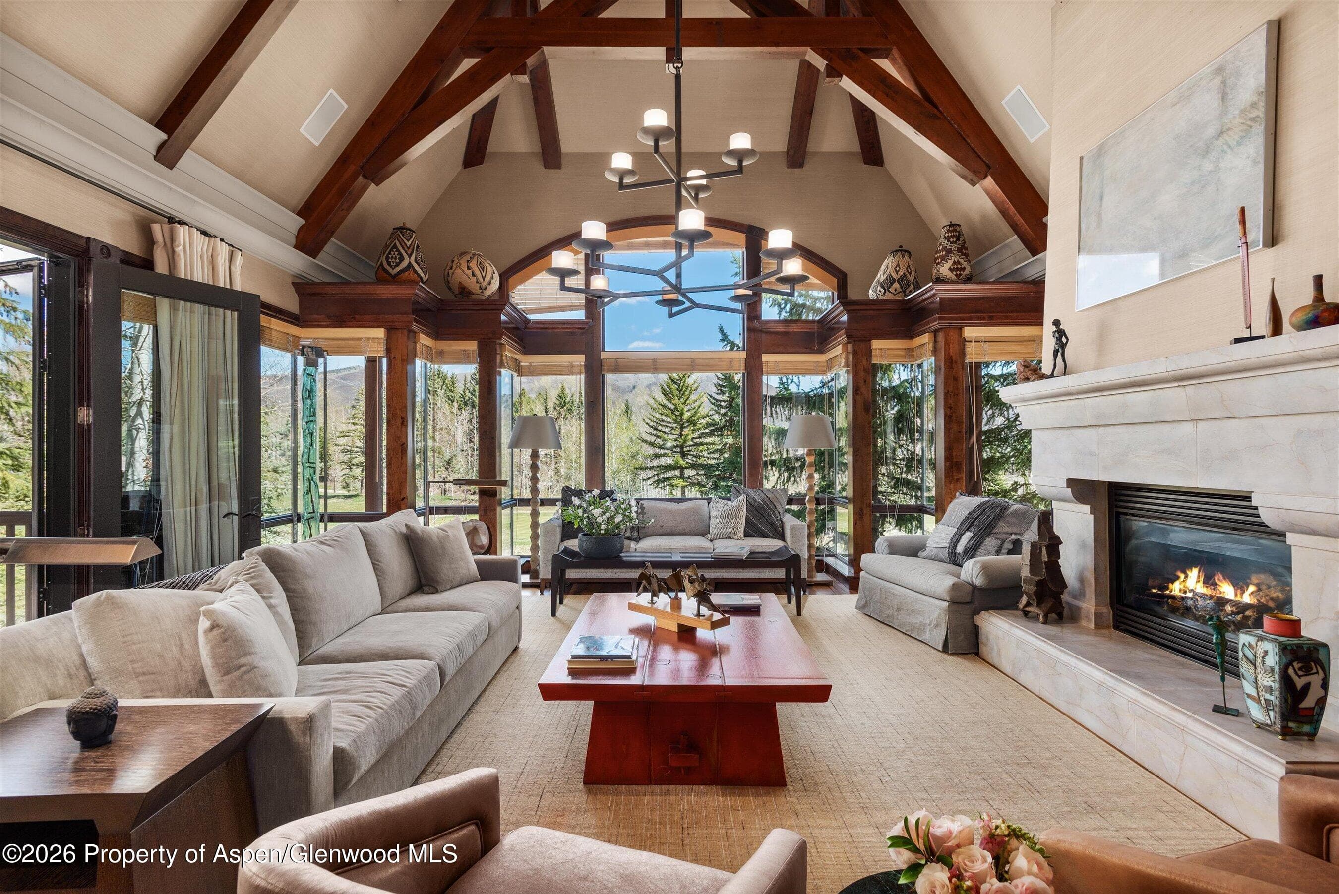 74 Pfister Drive 102, Aspen, CO 81611 - Photo 2