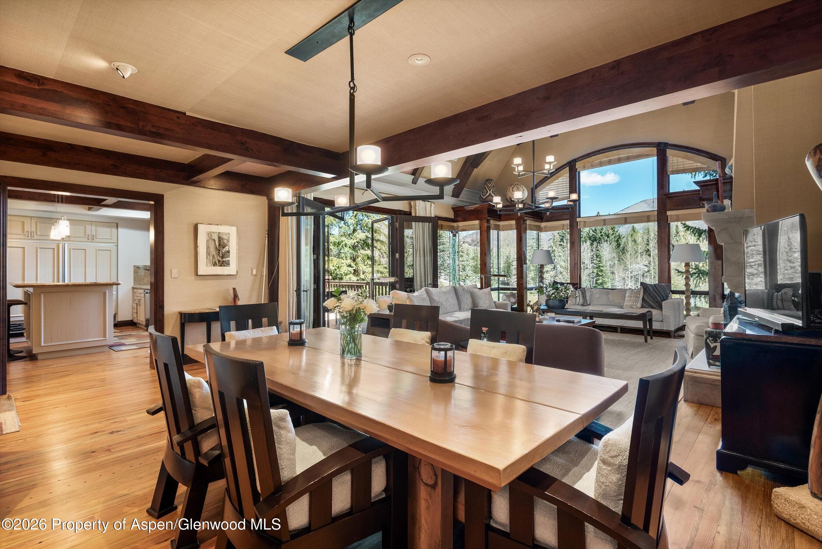 74 Pfister Drive 102, Aspen, CO 81611 - Photo 4