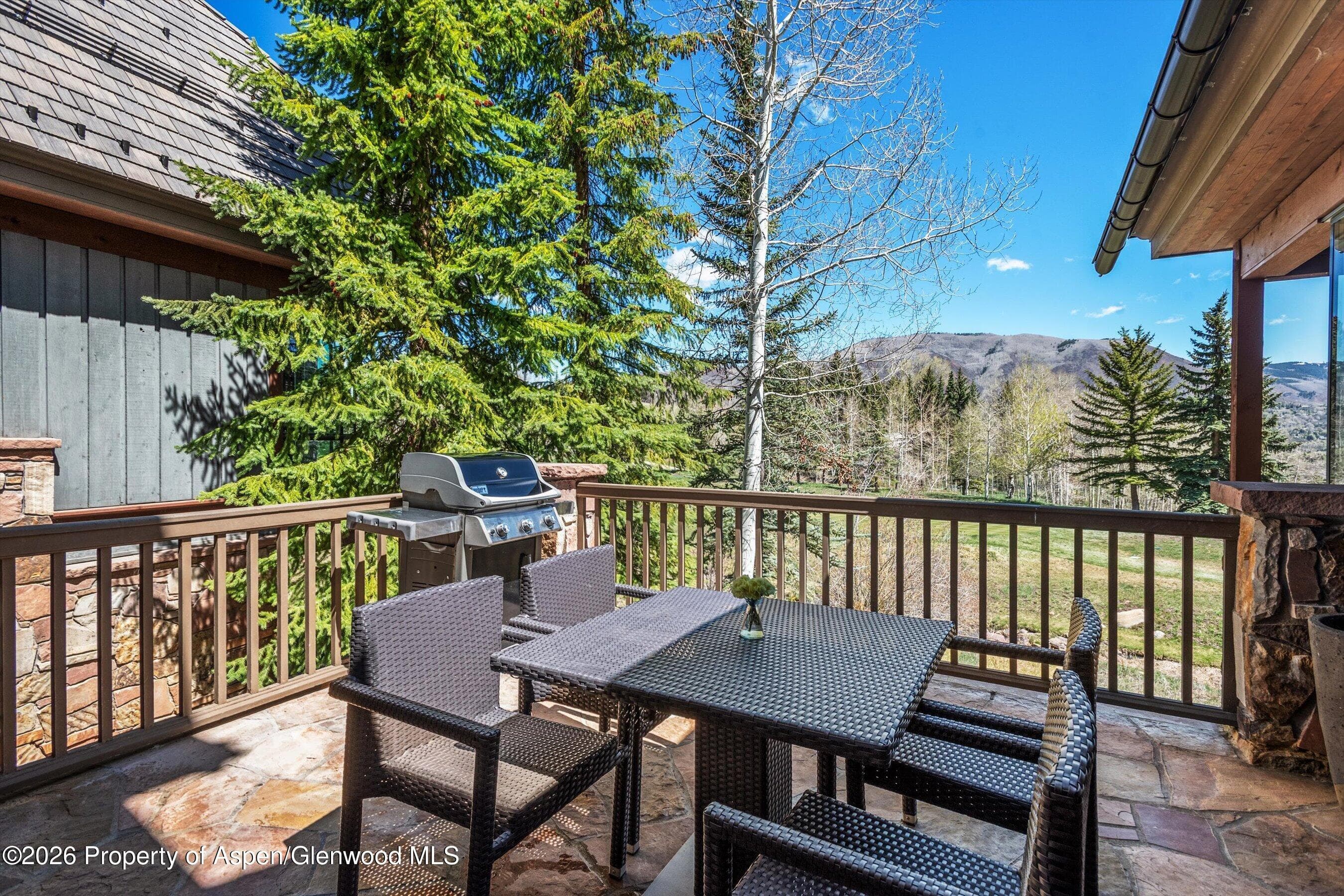 74 Pfister Drive 102, Aspen, CO 81611 - Photo 8