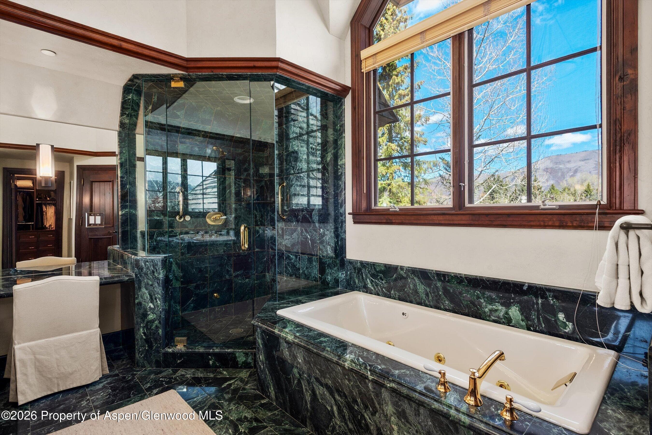 74 Pfister Drive 102, Aspen, CO 81611 - Photo 12