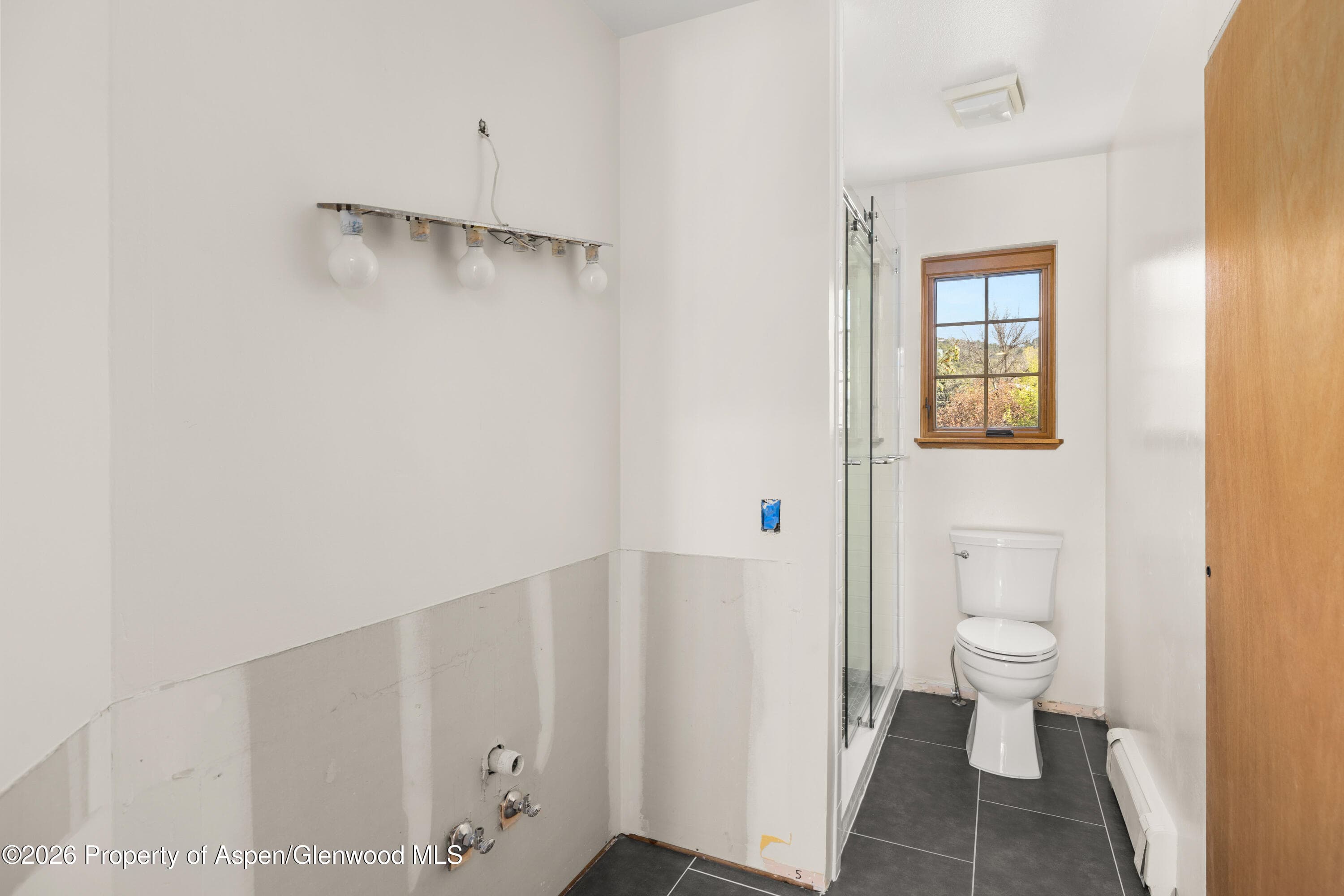 389 Rabbit Road, Carbondale, CO 81623 - Photo 13