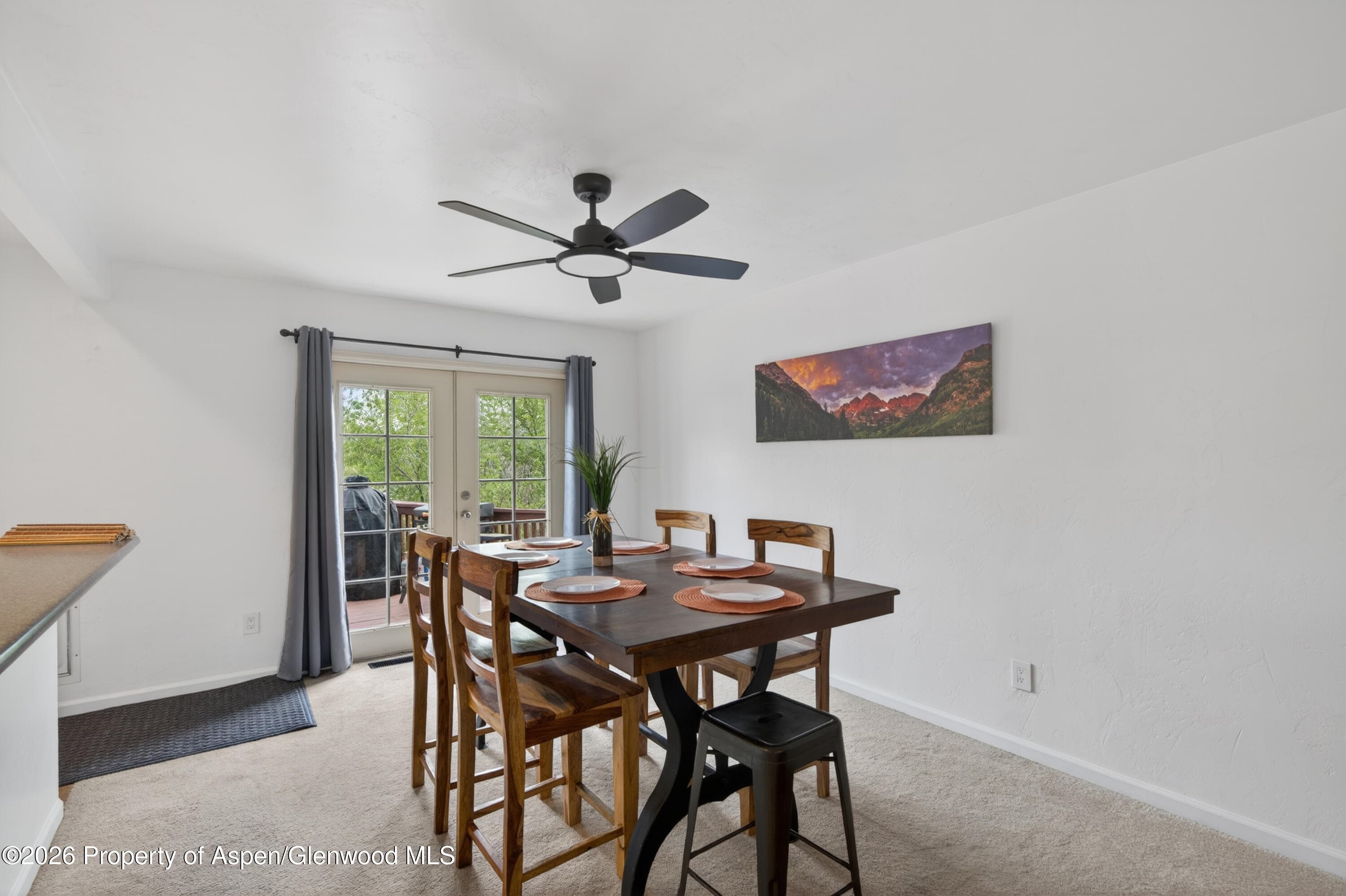 542 N 4th Street, Silt, CO 81652 - Photo 10