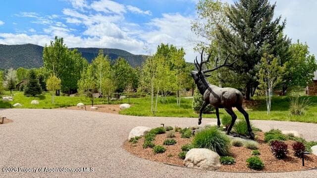 38 E Diamond A Ranch Road, Carbondale, CO 81623 - Photo 61