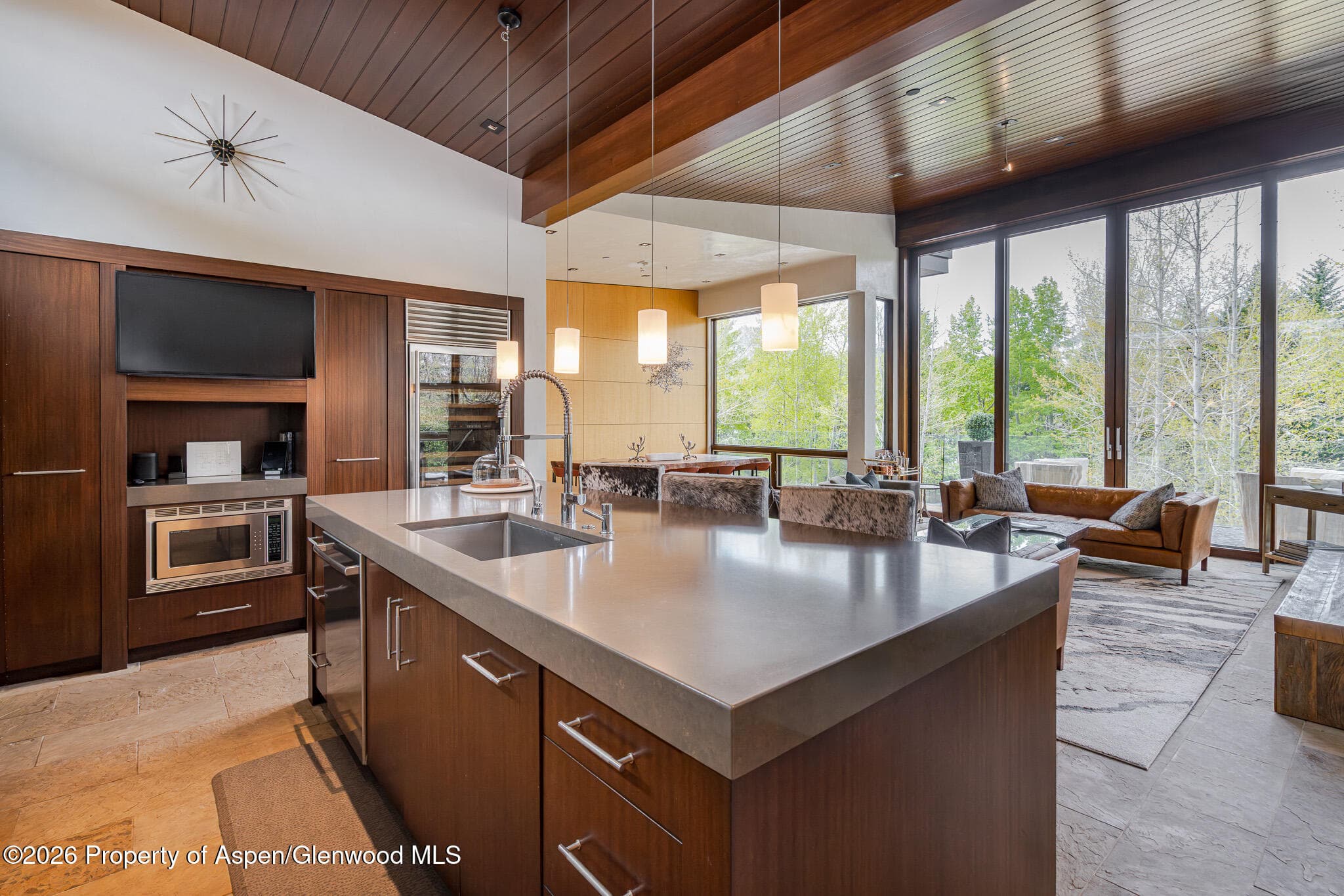 1564 Silver King Drive A, Aspen, CO 81611 - Photo 10
