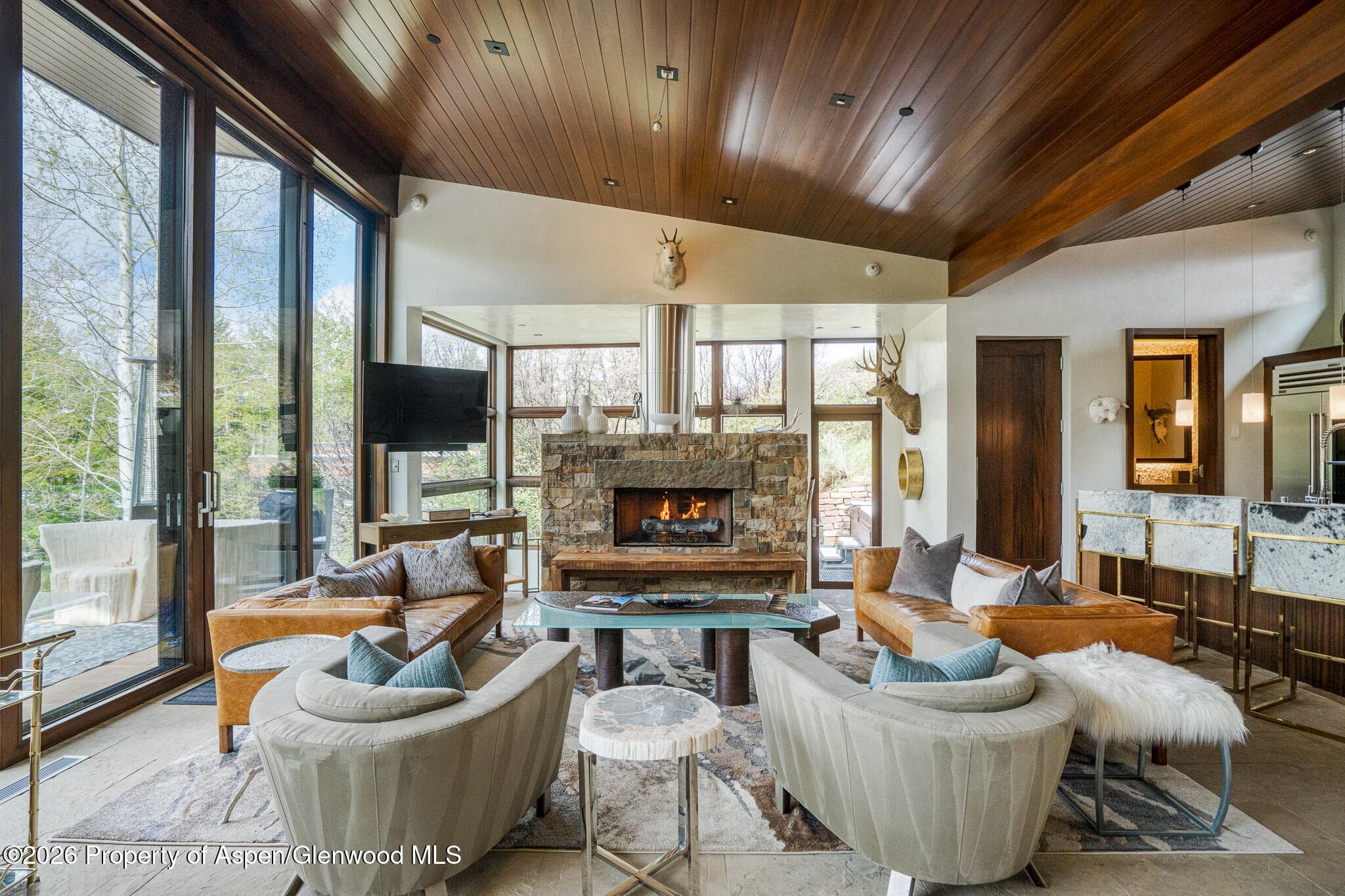 1564 Silver King Drive A, Aspen, CO 81611 - Photo 3