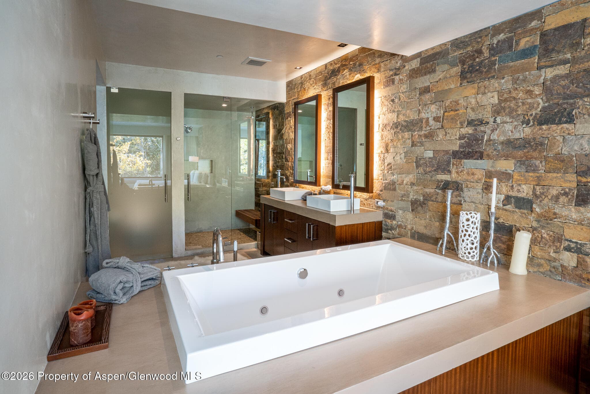 1564 Silver King Drive A, Aspen, CO 81611 - Photo 20