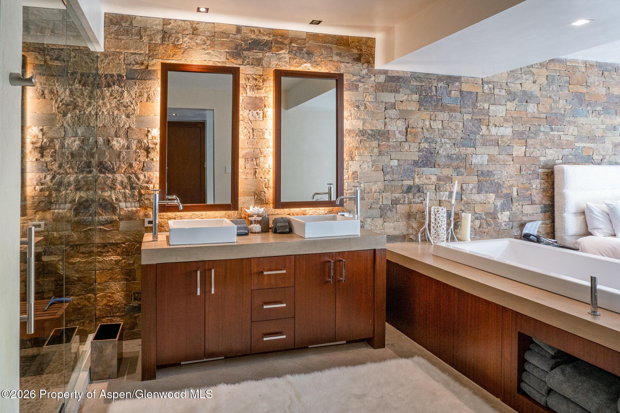 1564 Silver King Drive A, Aspen, CO 81611 - Photo 19