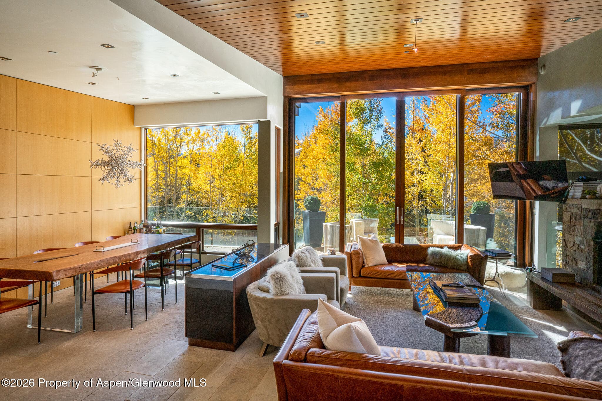 1564 Silver King Drive A, Aspen, CO 81611 - Photo 5