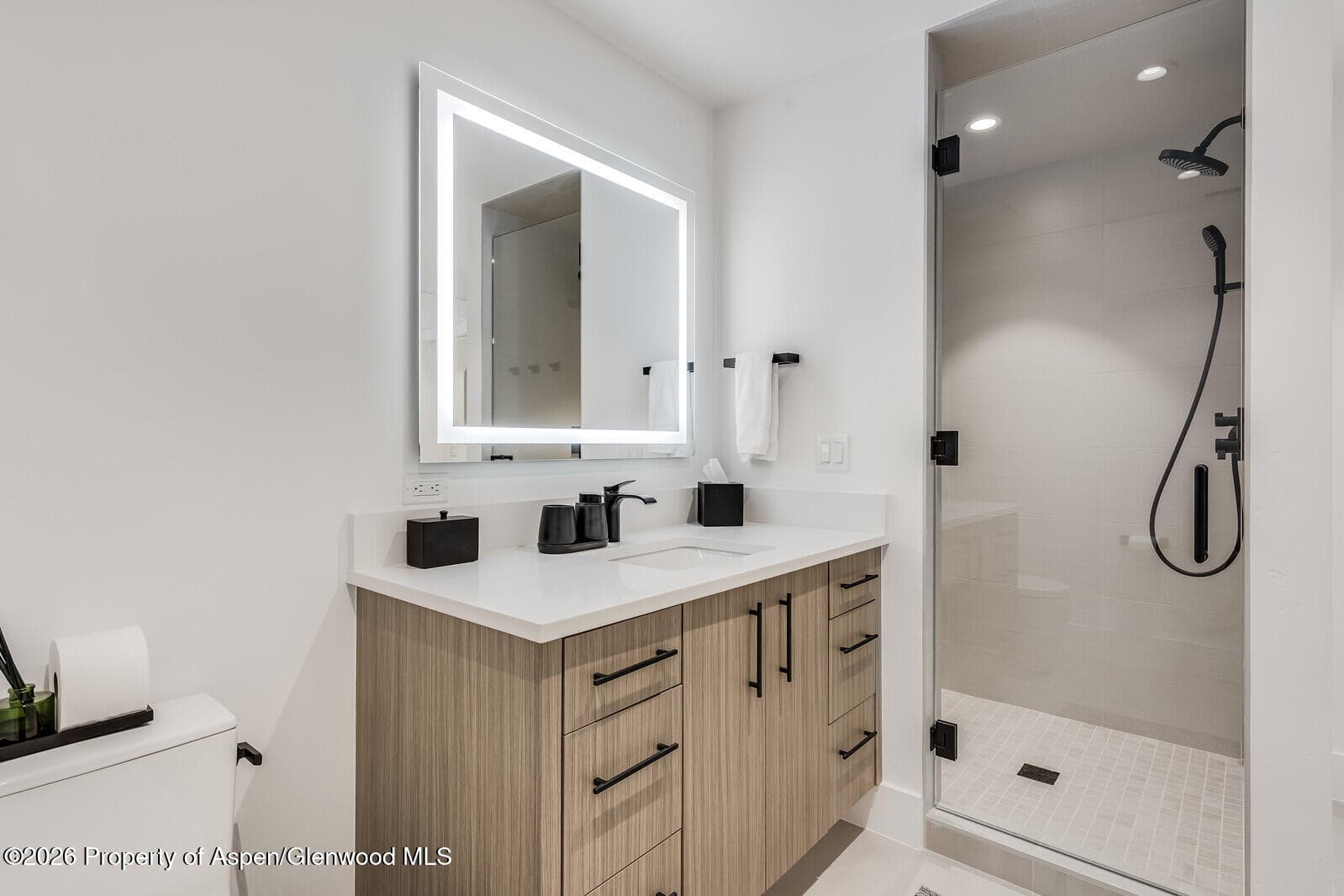 38 E Diamond A Ranch Road, Carbondale, CO 81623 - Photo 68