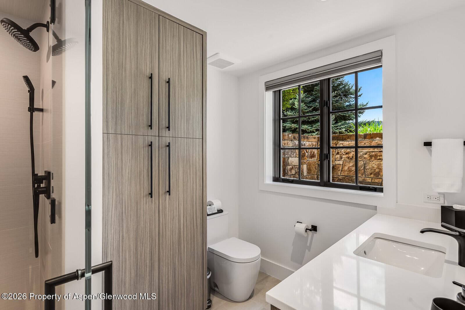 38 E Diamond A Ranch Road, Carbondale, CO 81623 - Photo 75