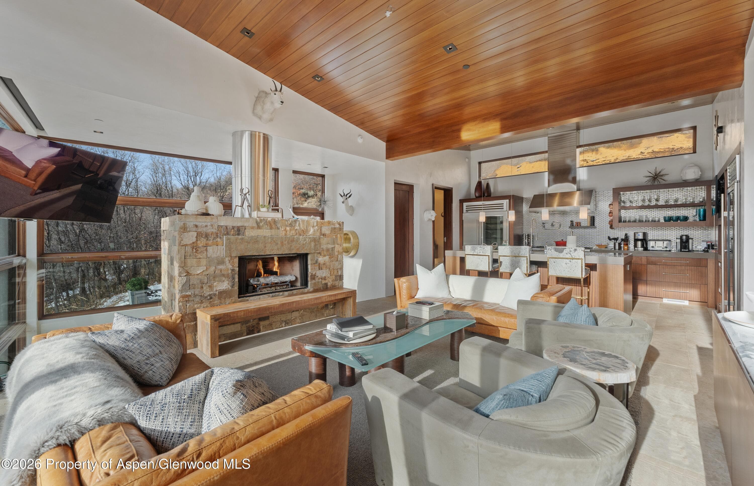 1564 Silver King Drive A, Aspen, CO 81611 - Photo 4
