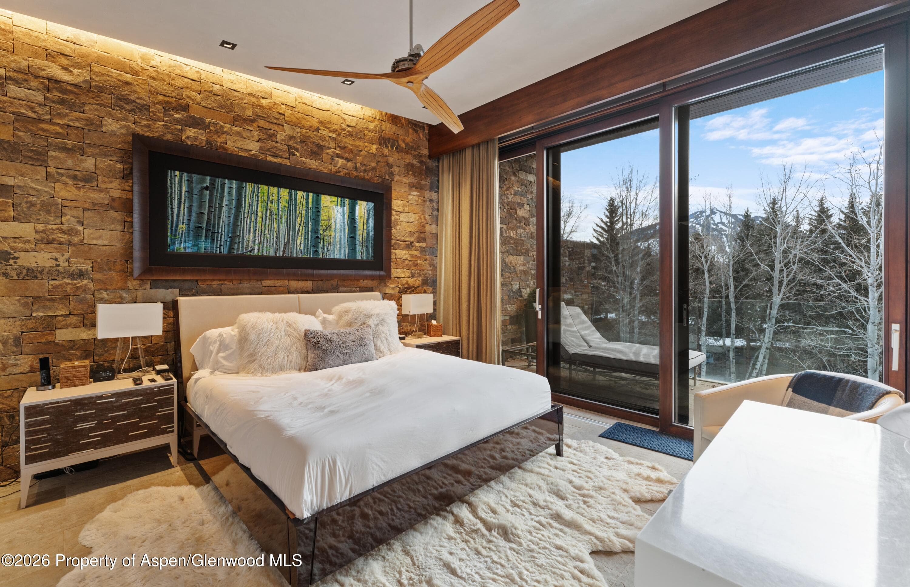 1564 Silver King Drive A, Aspen, CO 81611 - Photo 11