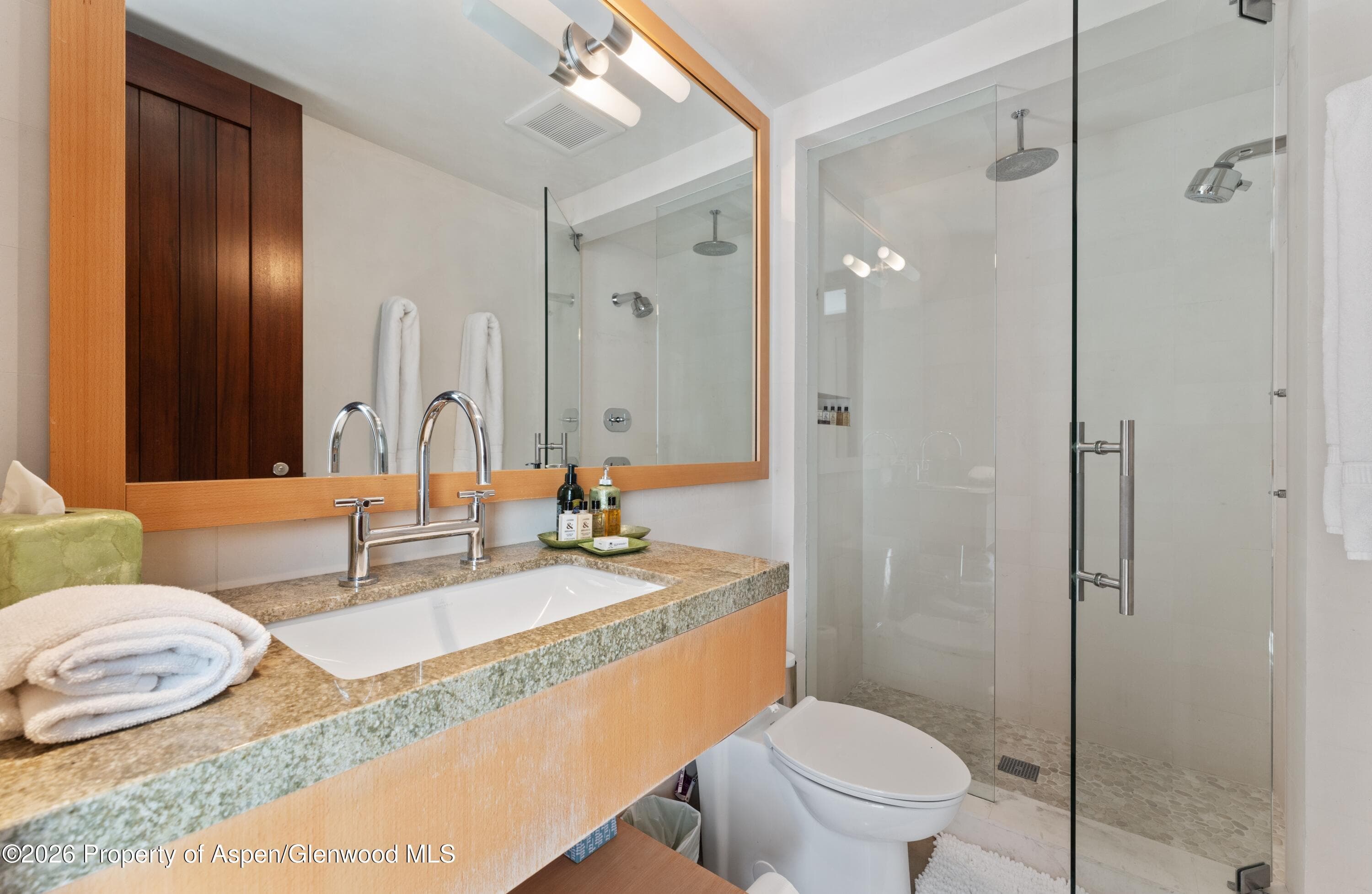 1564 Silver King Drive A, Aspen, CO 81611 - Photo 17