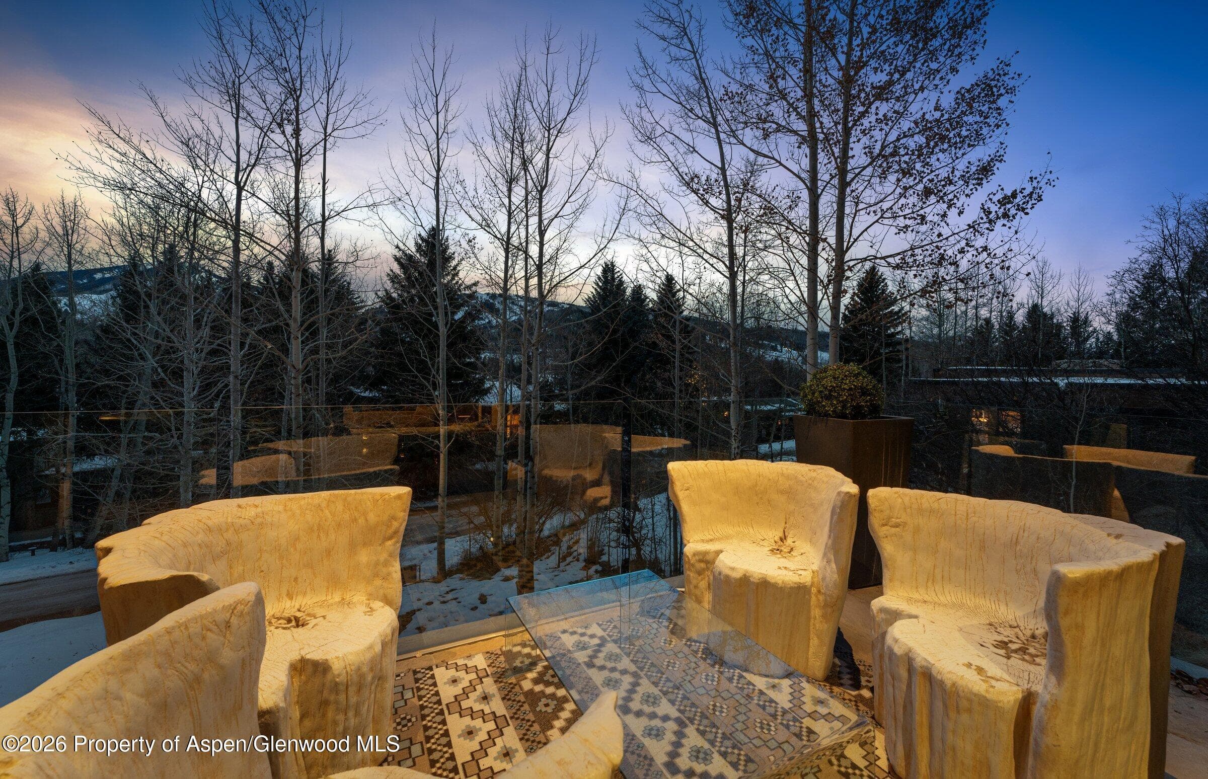1564 Silver King Drive A, Aspen, CO 81611 - Photo 38
