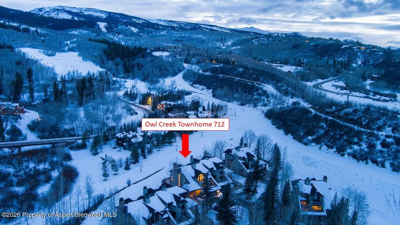 712 Burnt Mountain Drive 12, Snowmass Village, CO 81615 - Photo 45