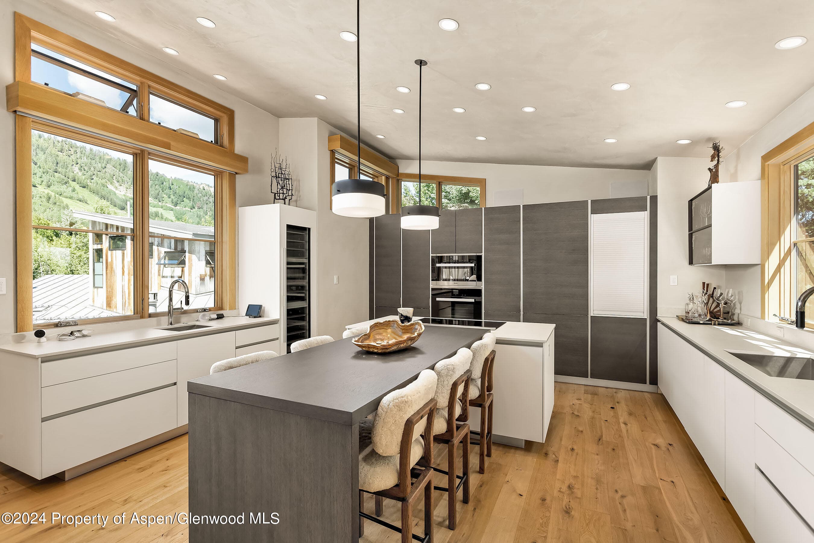 1190 Riverside Drive, Aspen, CO 81611 - Photo 8