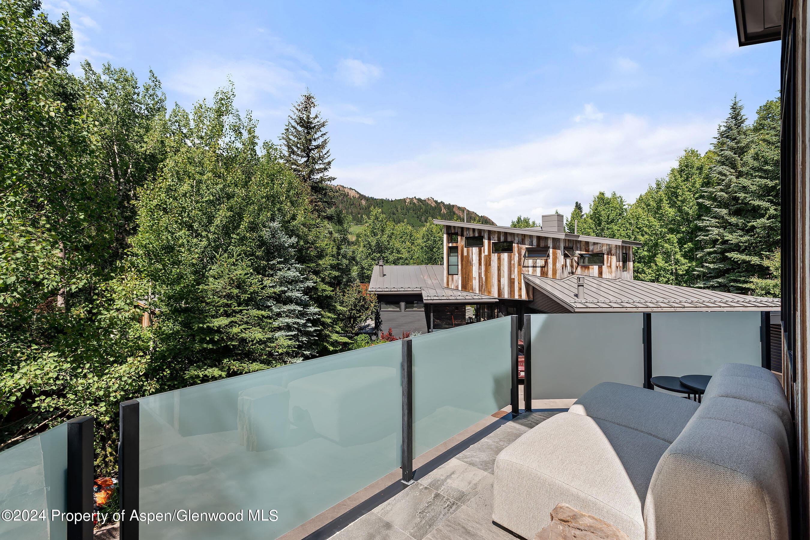 1190 Riverside Drive, Aspen, CO 81611 - Photo 9