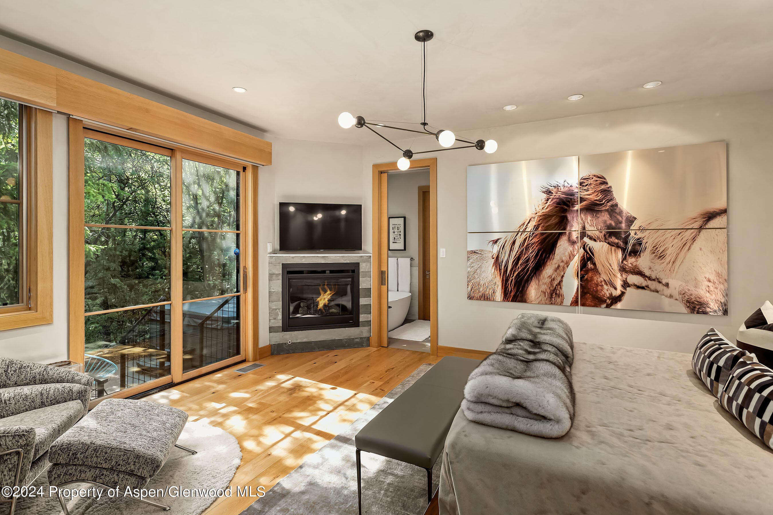 1190 Riverside Drive, Aspen, CO 81611 - Photo 12