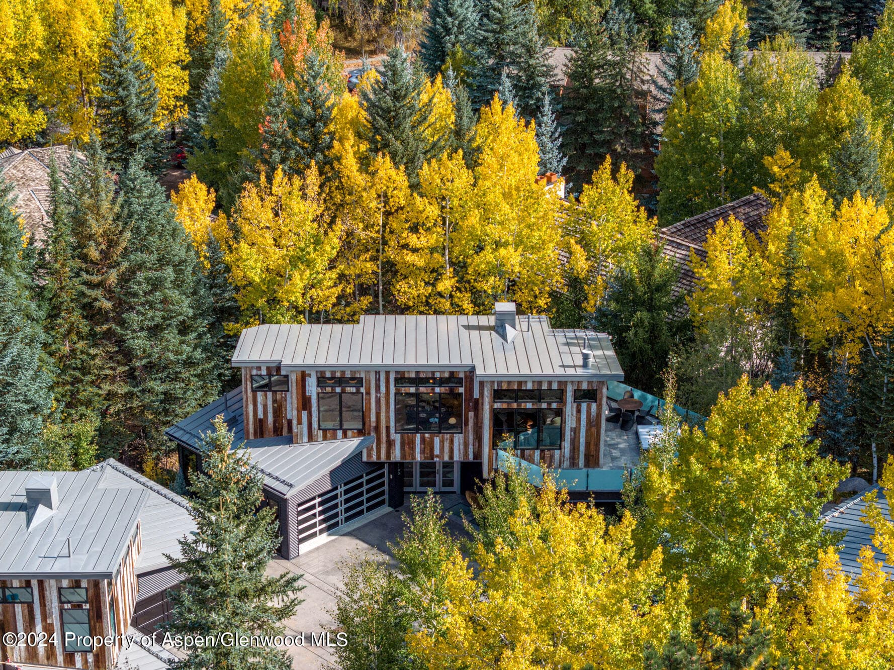 1190 Riverside Drive, Aspen, CO 81611 - Photo 28