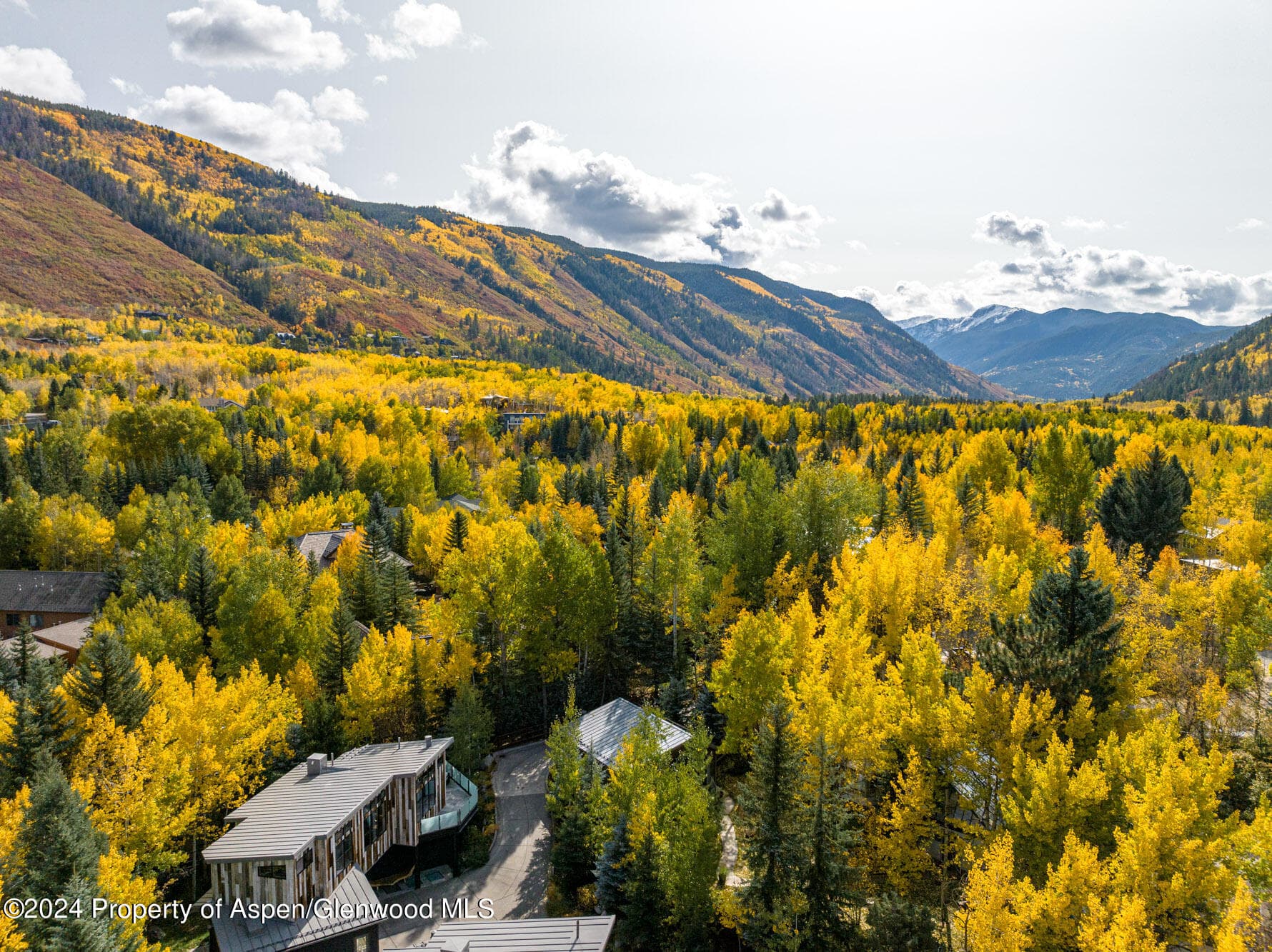 1190 Riverside Drive, Aspen, CO 81611 - Photo 30