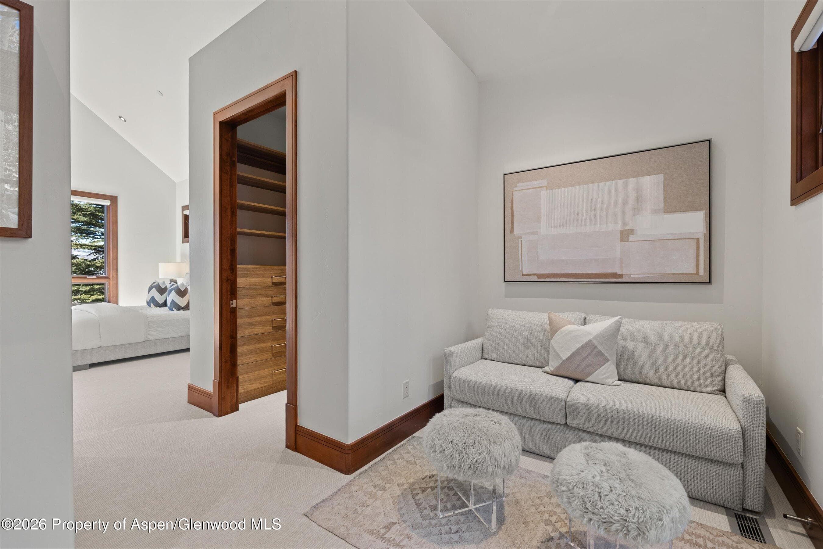 294 Draw Drive, Aspen, CO 81611 - Photo 28