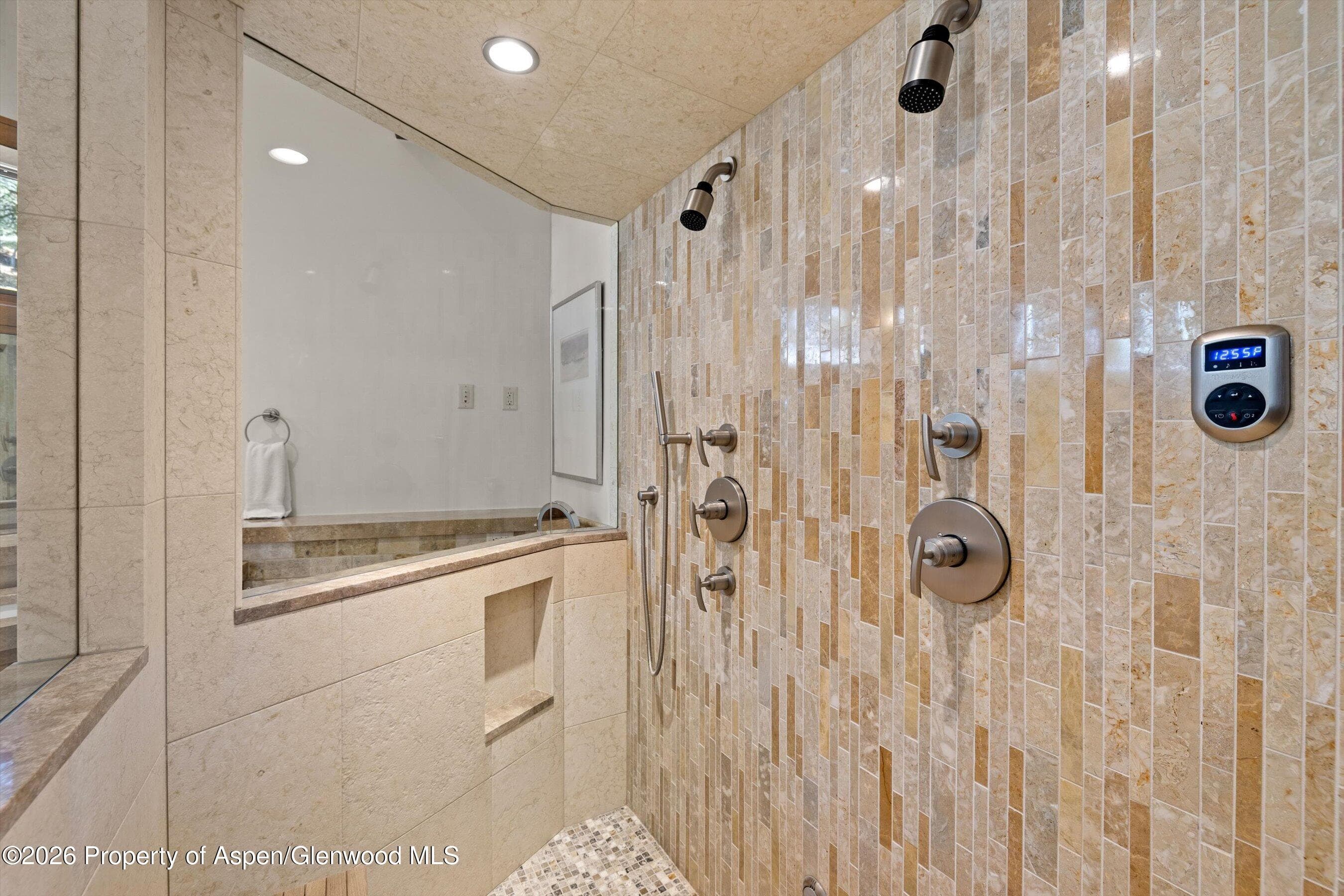 294 Draw Drive, Aspen, CO 81611 - Photo 30
