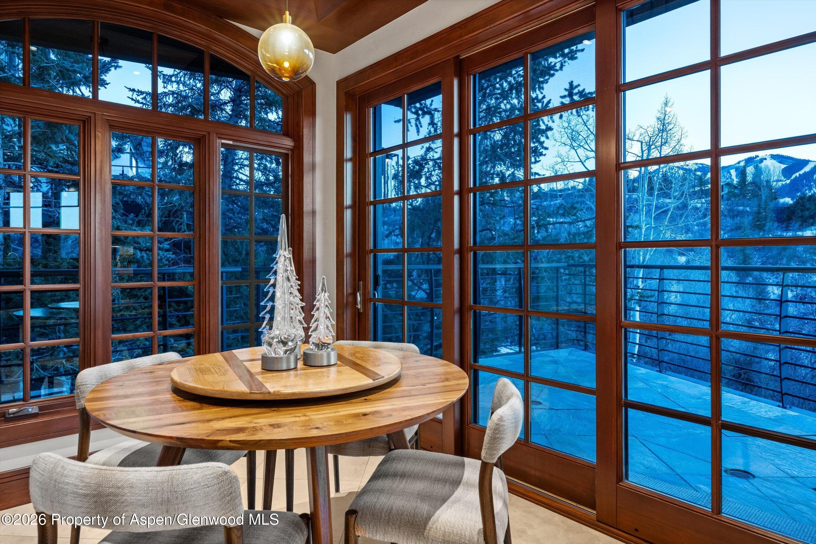 294 Draw Drive, Aspen, CO 81611 - Photo 16