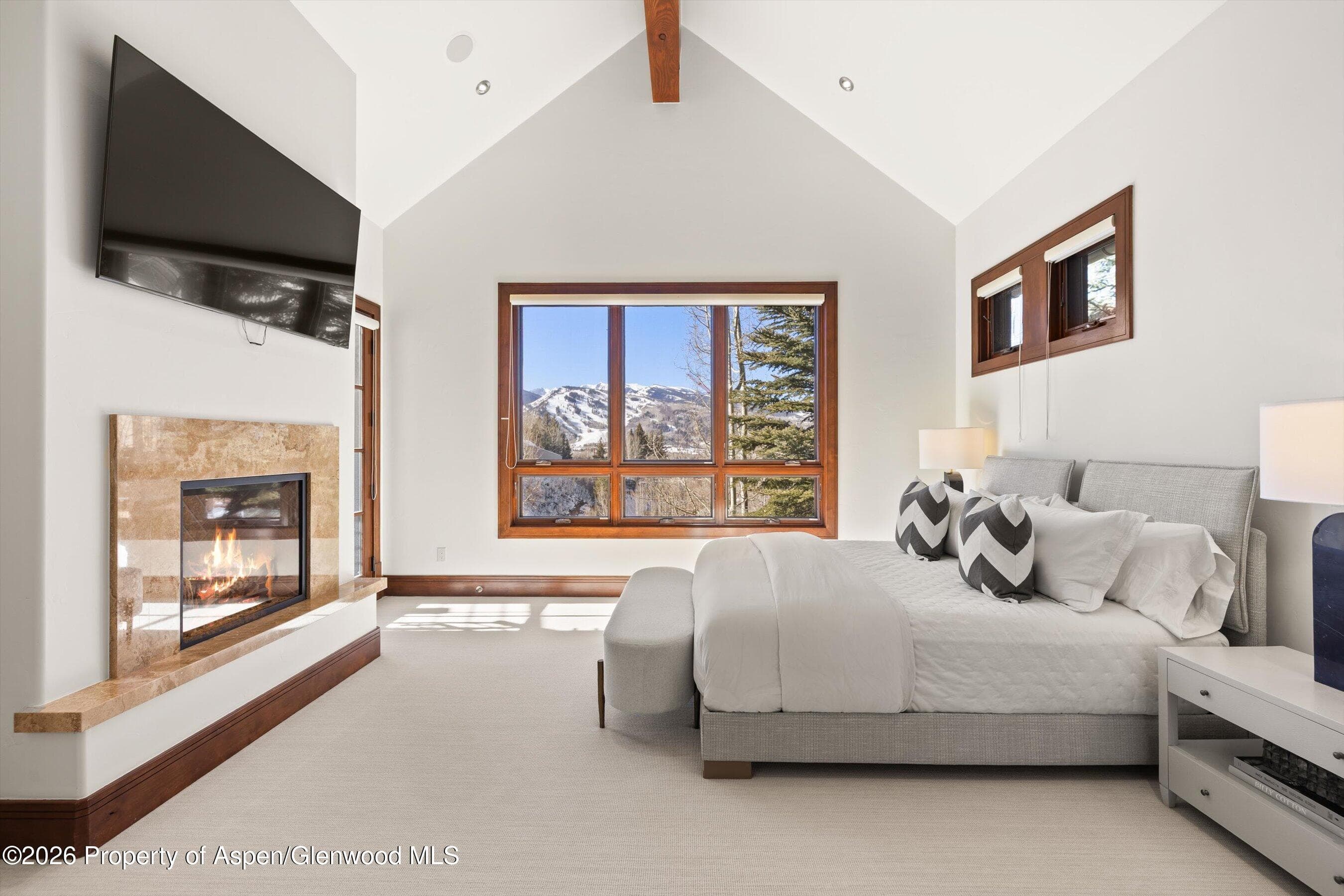 294 Draw Drive, Aspen, CO 81611 - Photo 28