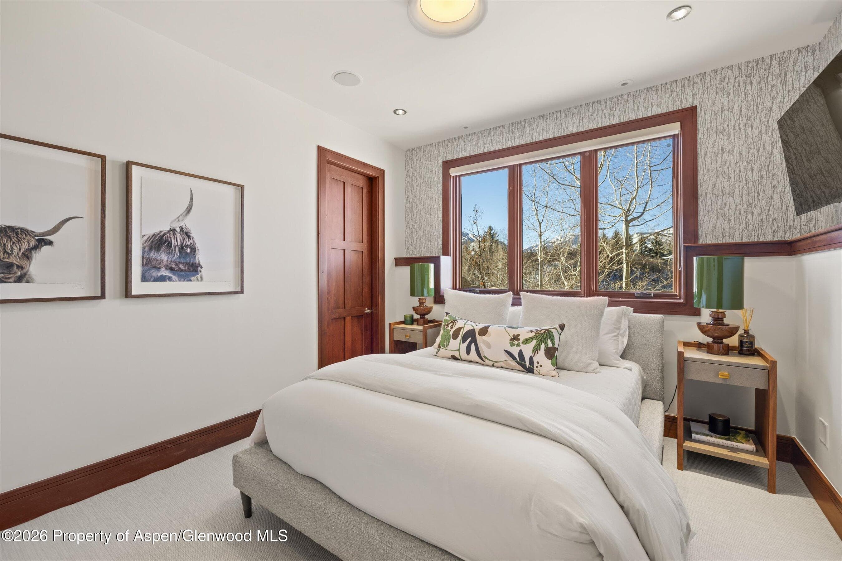 294 Draw Drive, Aspen, CO 81611 - Photo 33