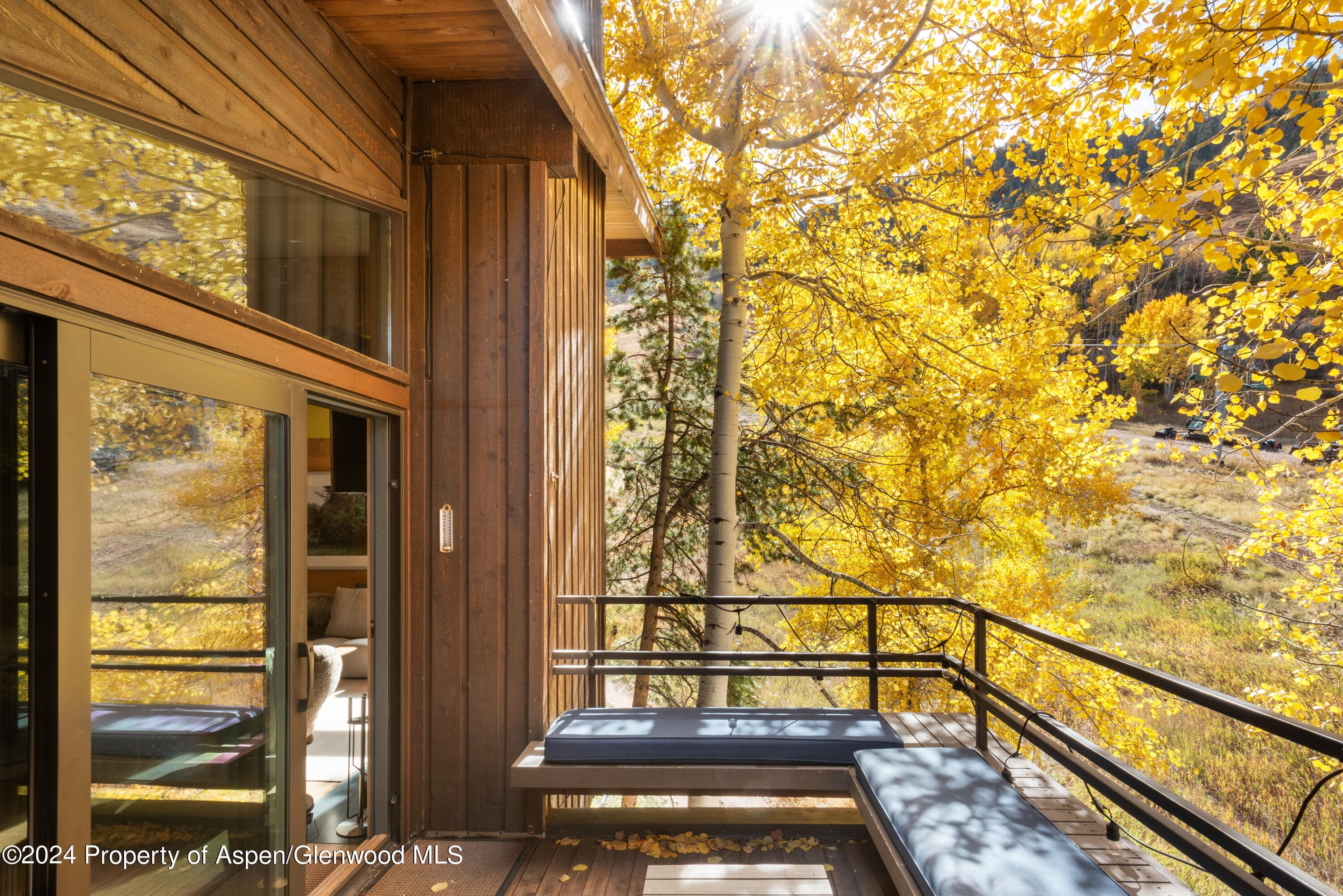 800 S Monarch Street Unit 9, Aspen, CO 81611 - Photo 8