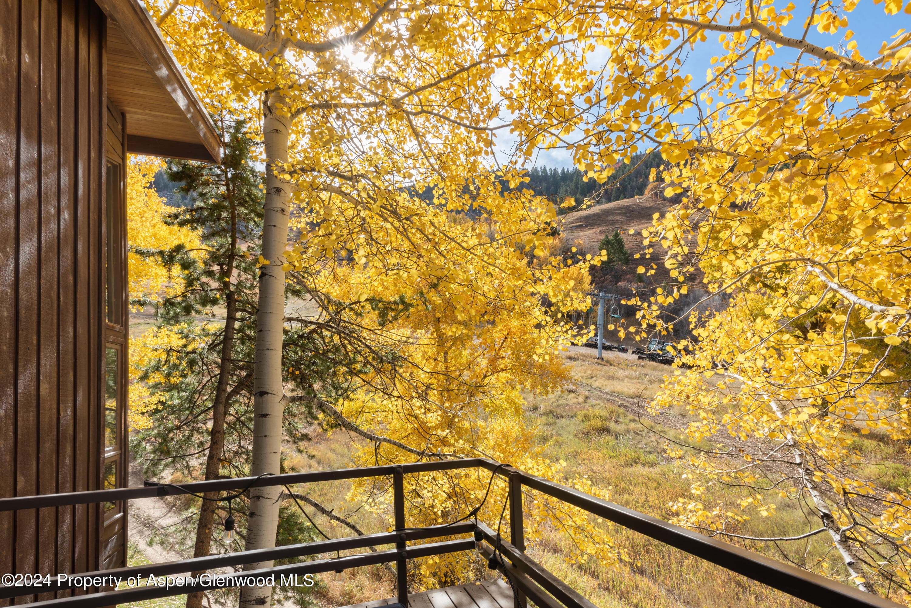 800 S Monarch Street Unit 9, Aspen, CO 81611 - Photo 9