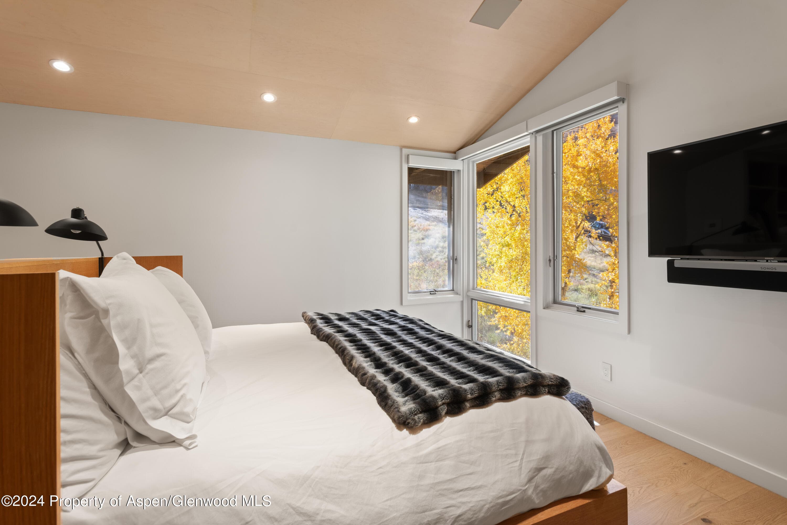 800 S Monarch Street Unit 9, Aspen, CO 81611 - Photo 17