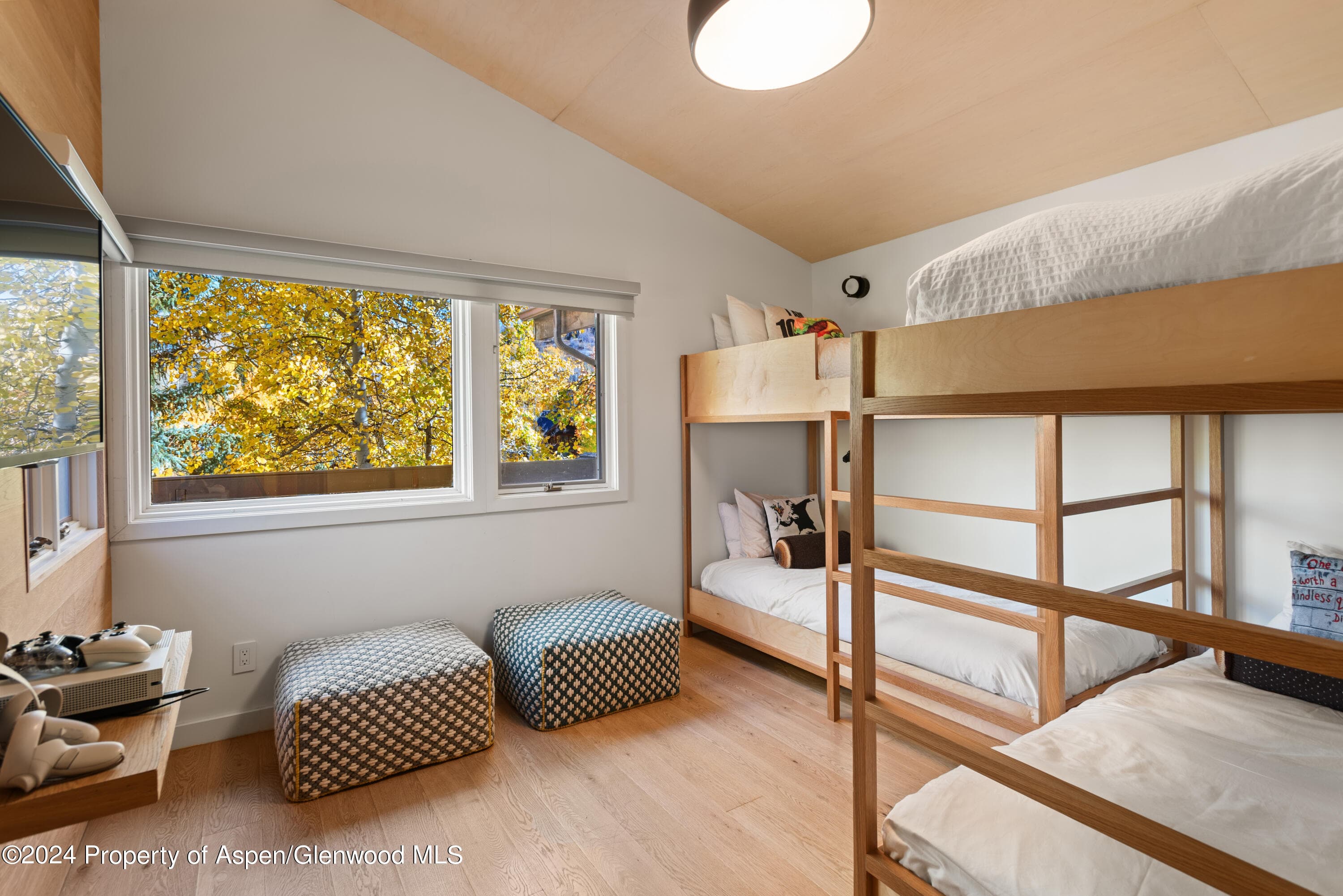 800 S Monarch Street Unit 9, Aspen, CO 81611 - Photo 20
