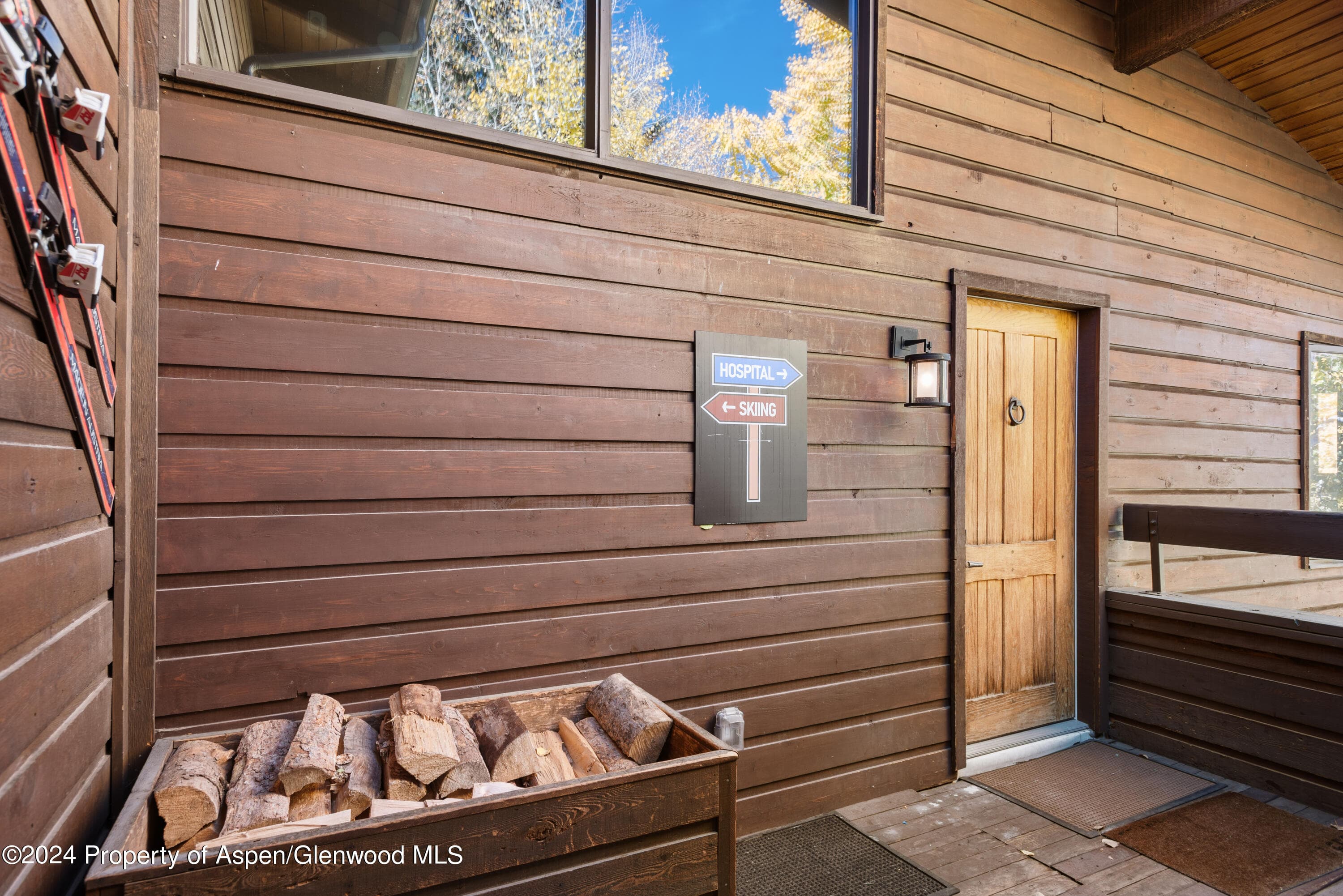 800 S Monarch Street Unit 9, Aspen, CO 81611 - Photo 22