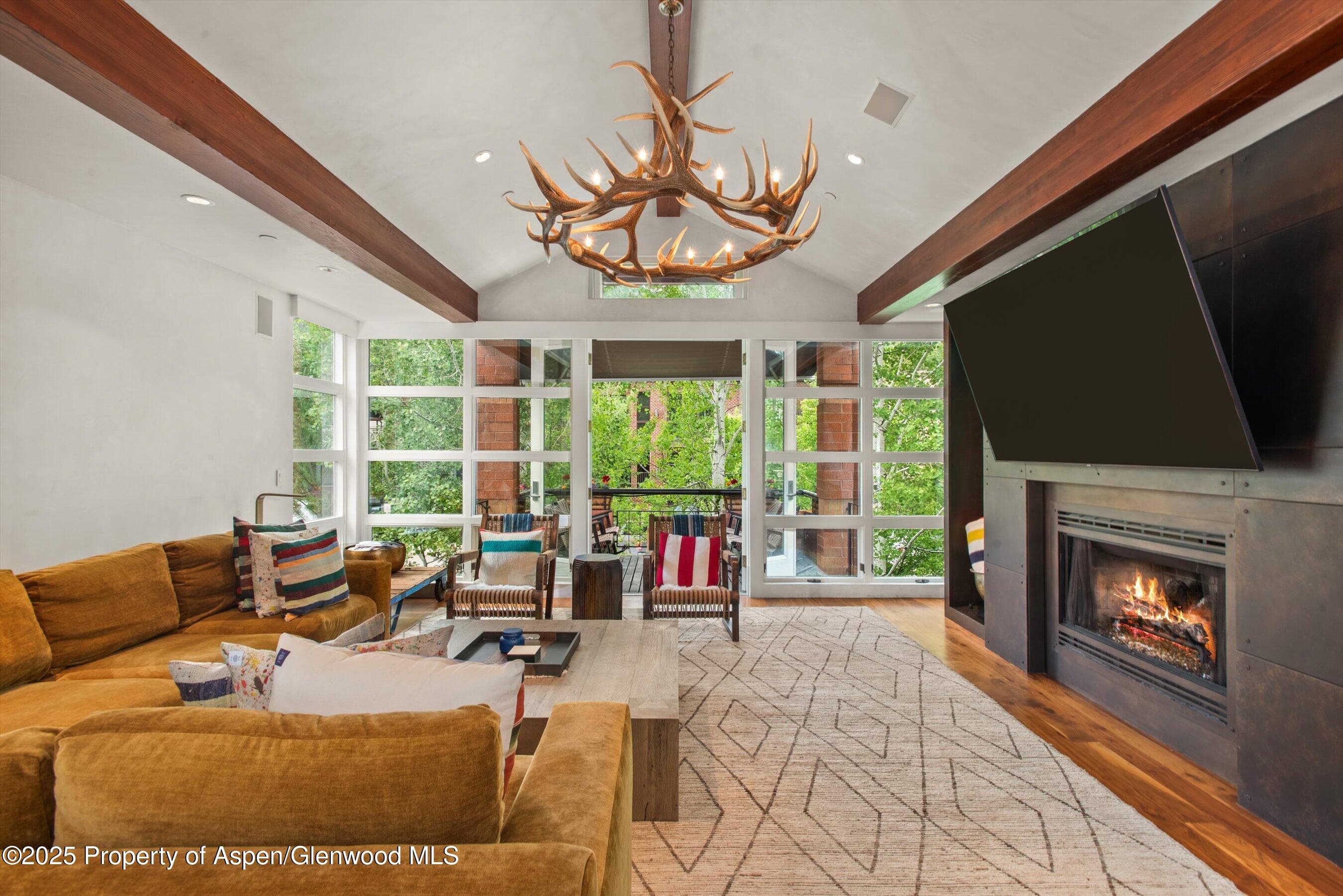 706 E Hyman Avenue, Aspen, CO 81611 - Photo 4