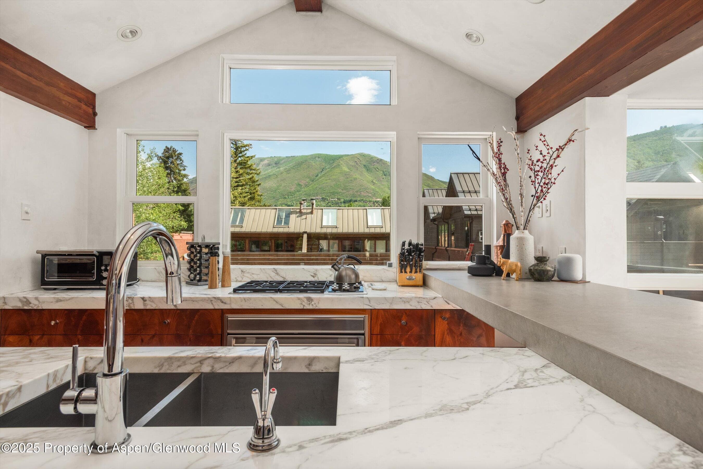 706 E Hyman Avenue, Aspen, CO 81611 - Photo 17