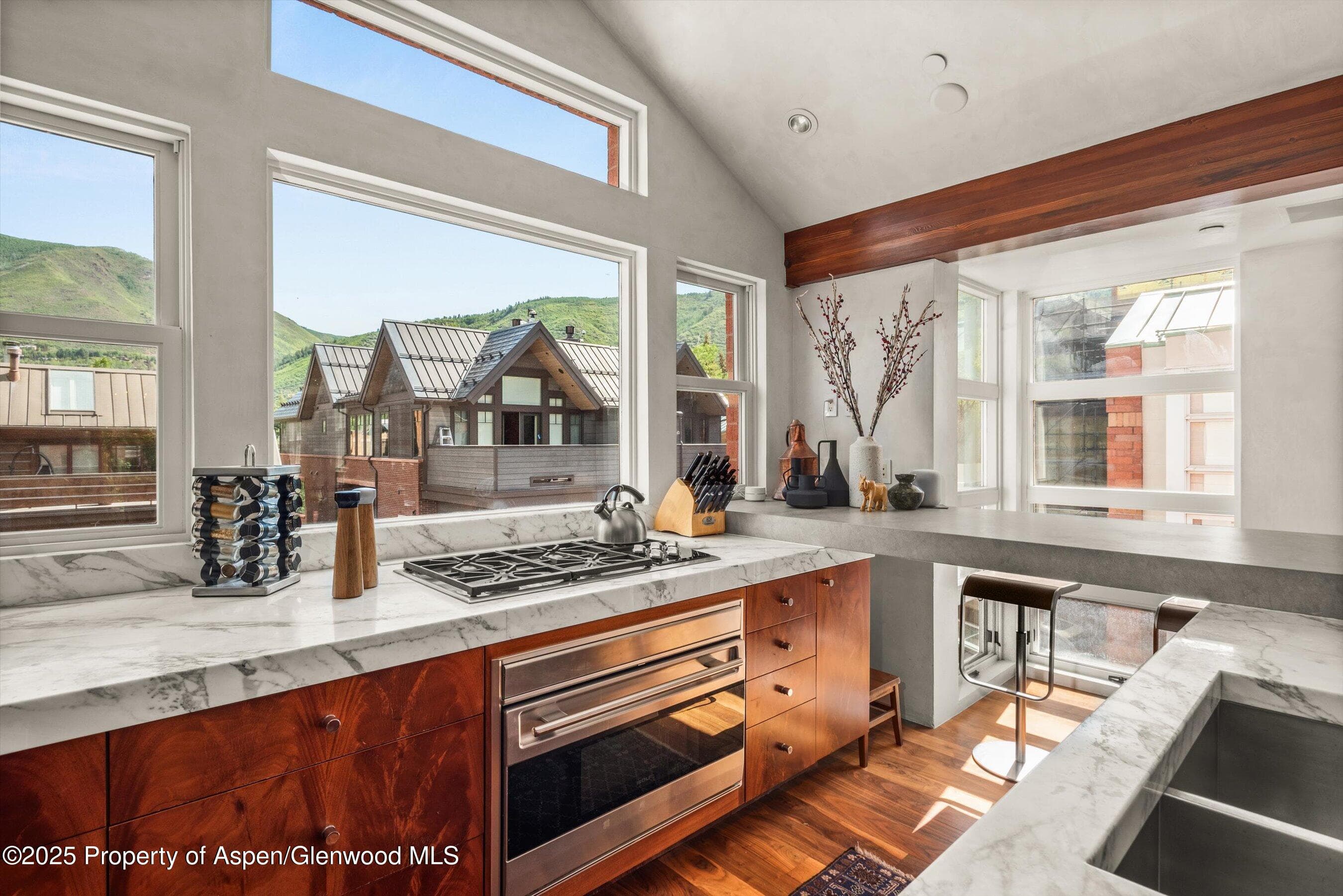 706 E Hyman Avenue, Aspen, CO 81611 - Photo 19