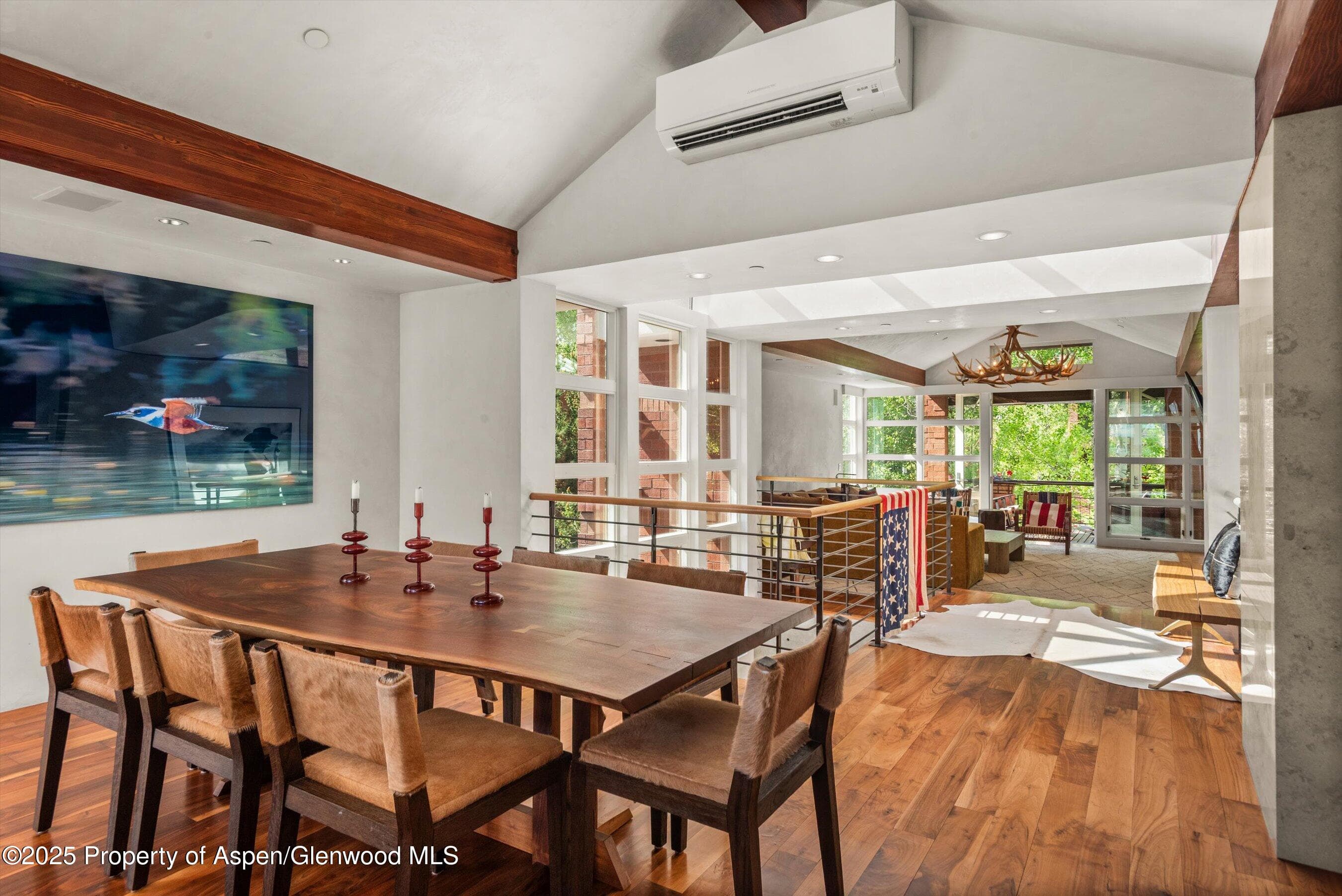 706 E Hyman Avenue, Aspen, CO 81611 - Photo 20