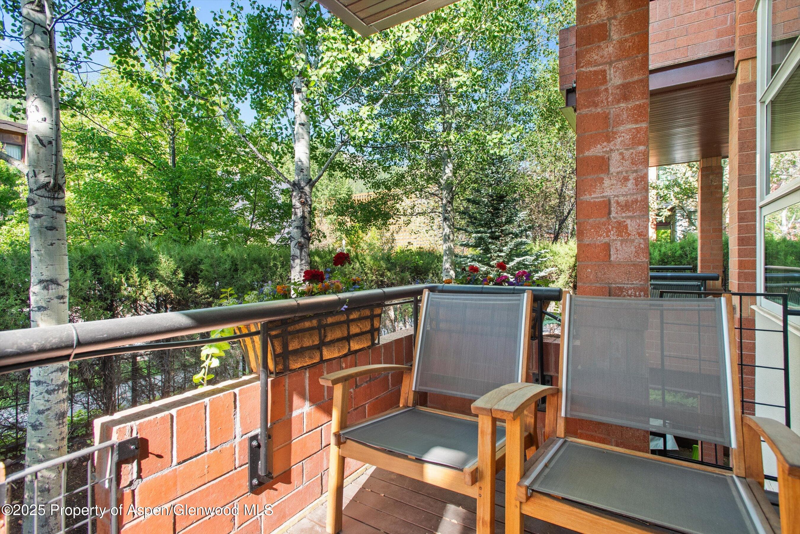 706 E Hyman Avenue, Aspen, CO 81611 - Photo 26