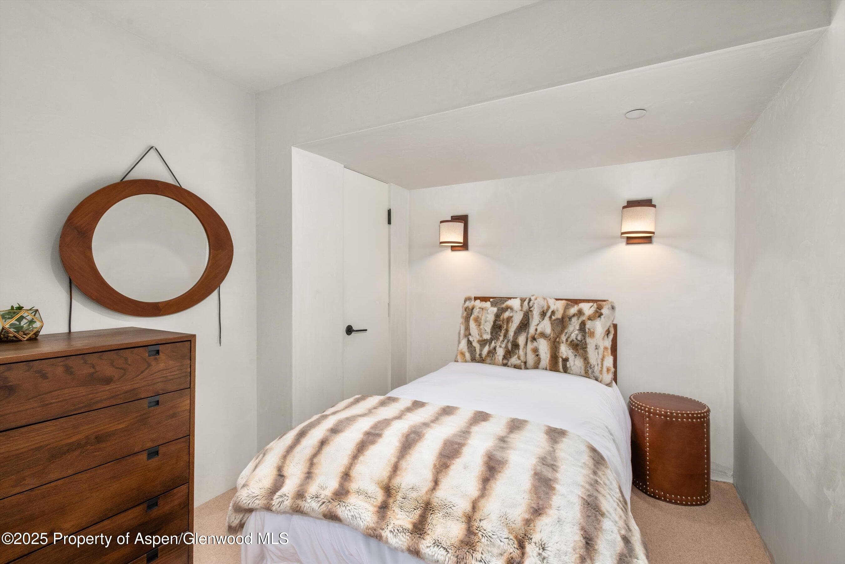 706 E Hyman Avenue, Aspen, CO 81611 - Photo 37