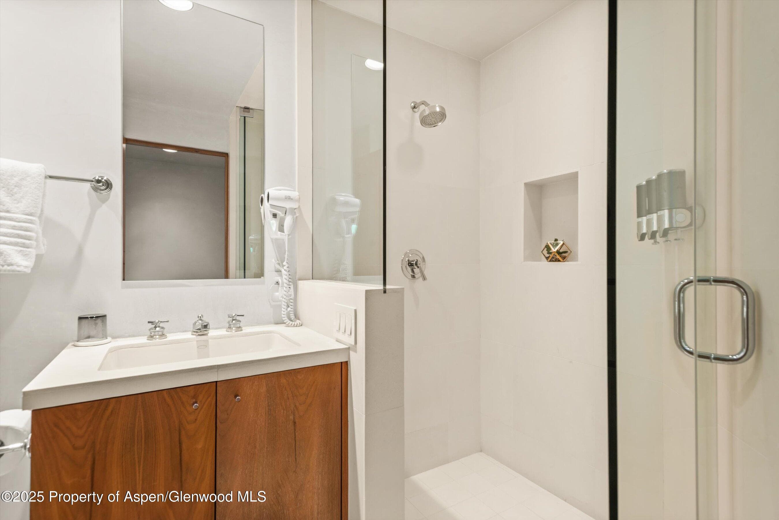 706 E Hyman Avenue, Aspen, CO 81611 - Photo 39