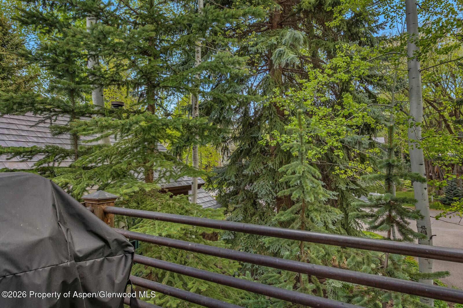 1354 Sierra Vista Drive, Aspen, CO 81611 - Photo 10