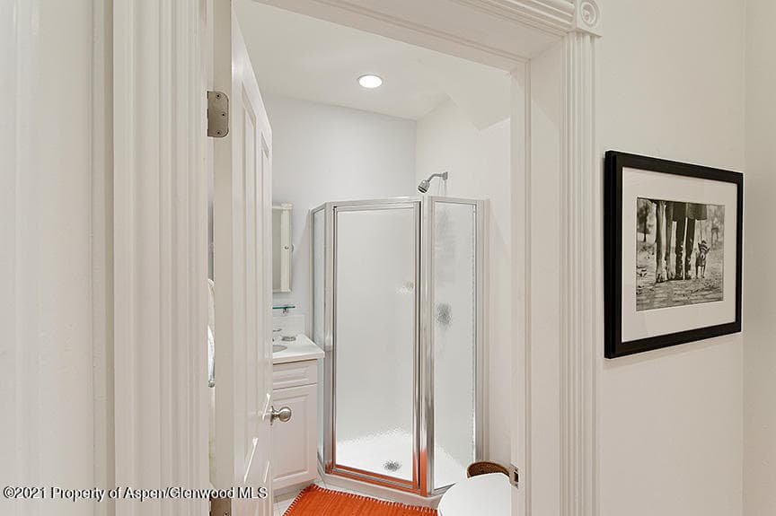 334 W Hallam Street, Aspen, CO 81611 - Photo 24