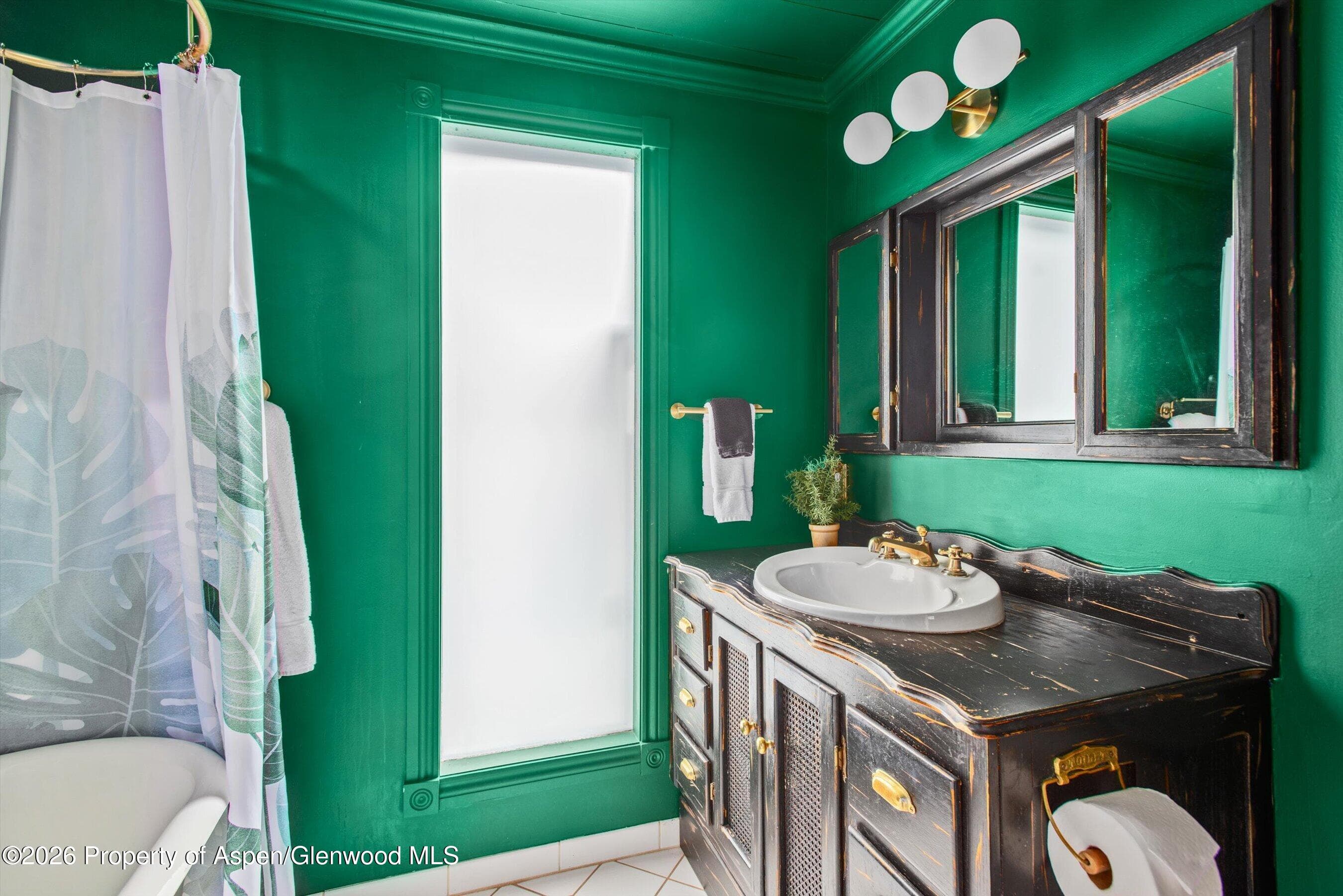 735 W Bleeker Street, Aspen, CO 81611 - Photo 28