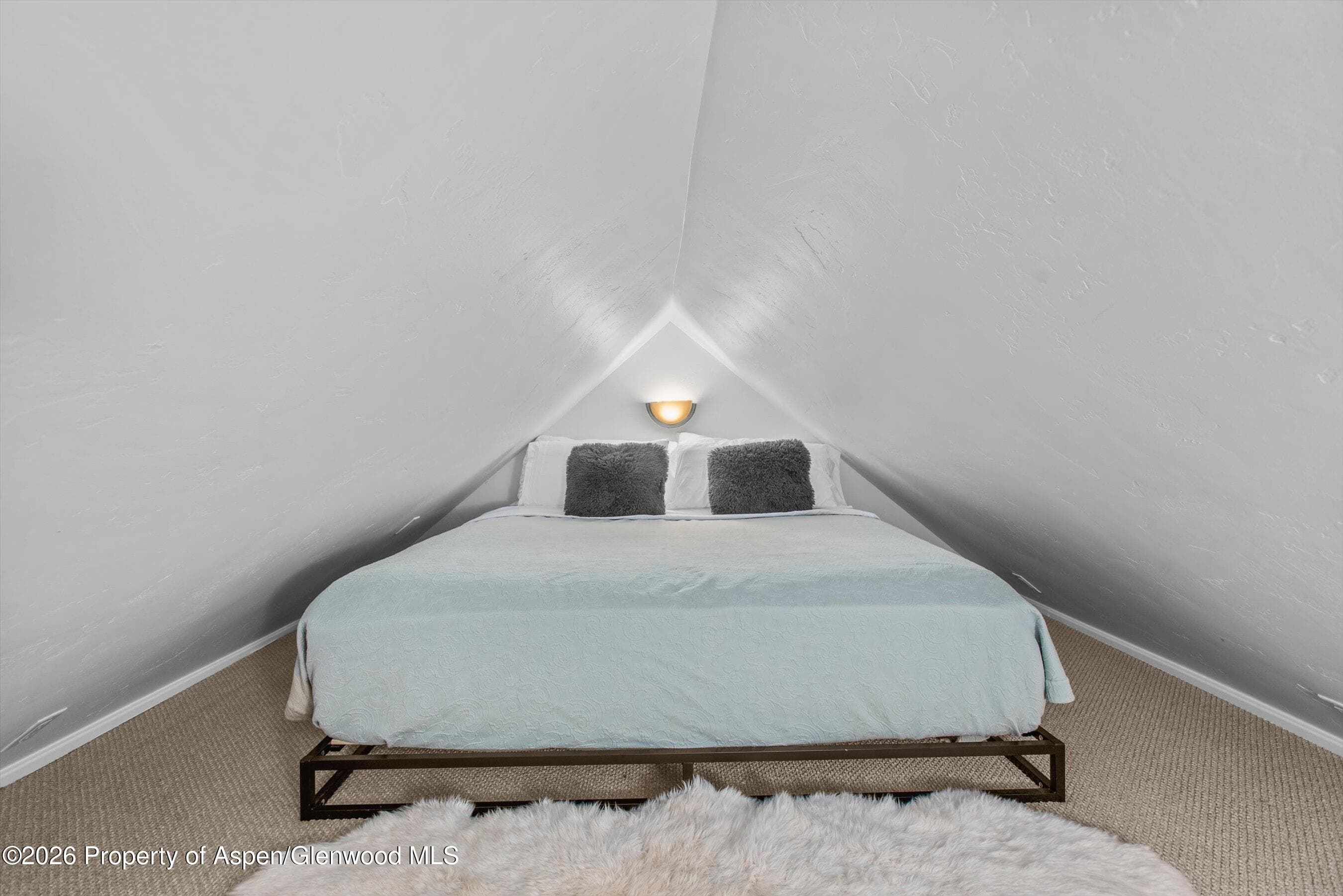735 W Bleeker Street, Aspen, CO 81611 - Photo 20