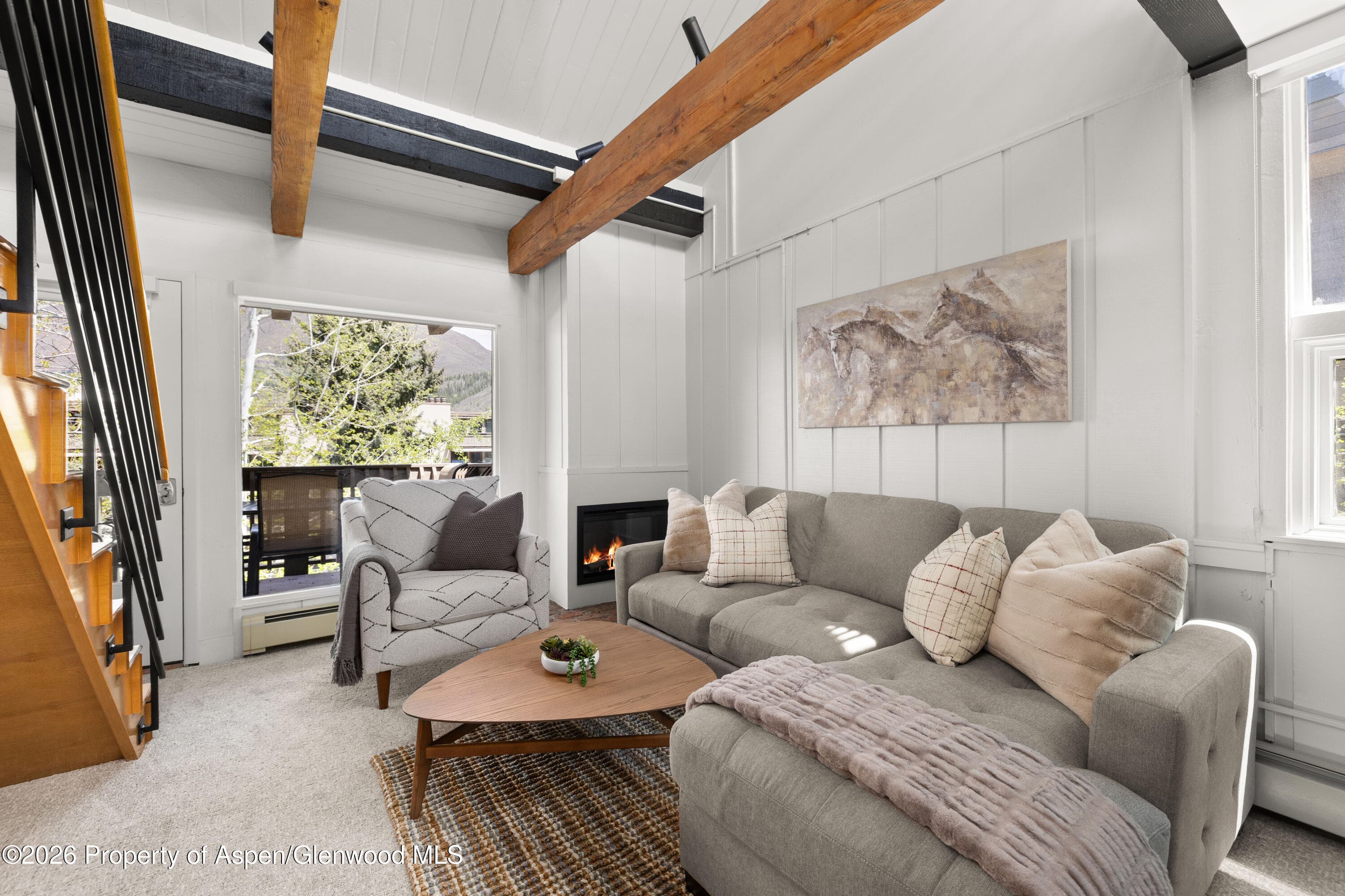 605 E Main Street #9, Aspen, CO 81611 - Photo 2