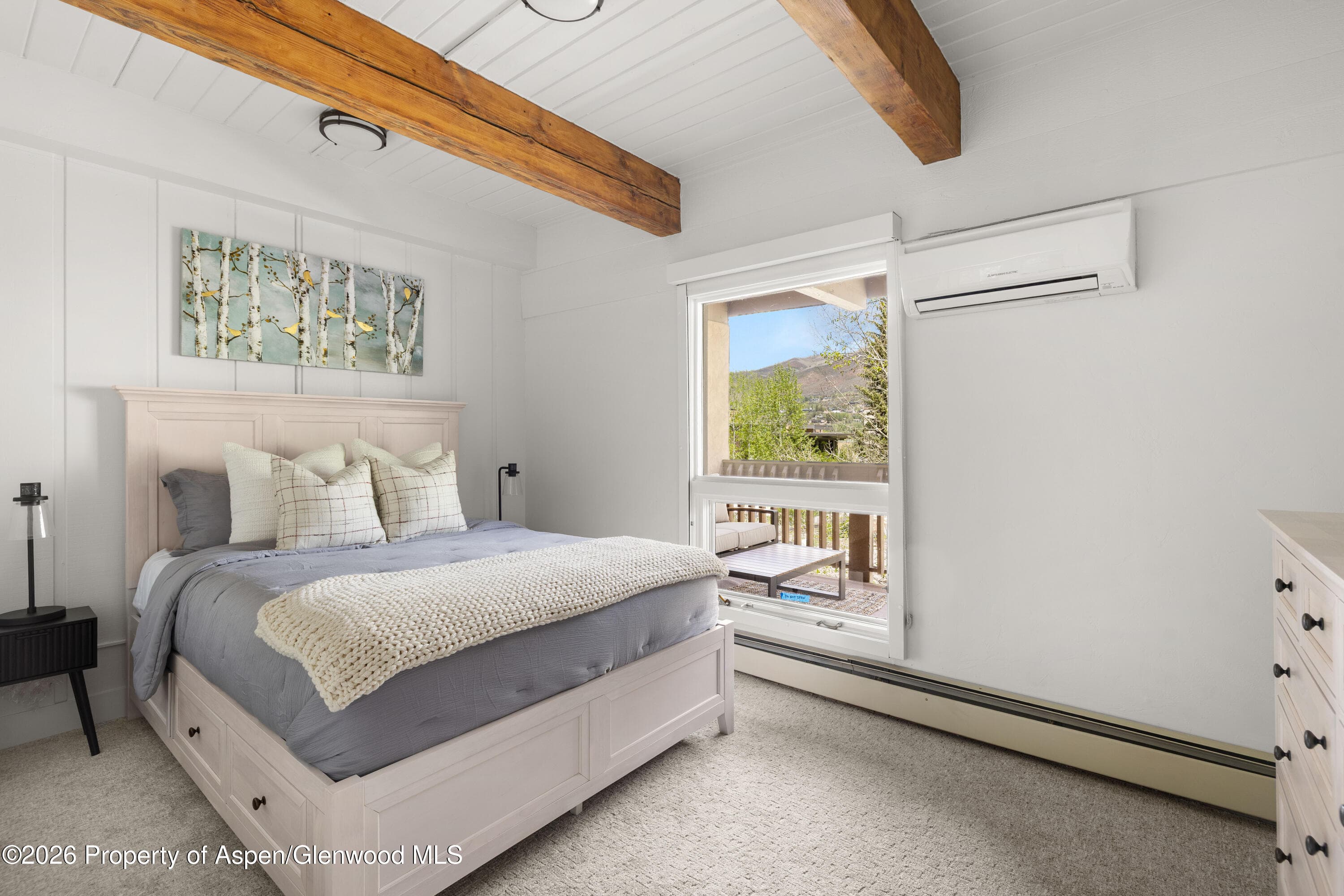 605 E Main Street #9, Aspen, CO 81611 - Photo 9