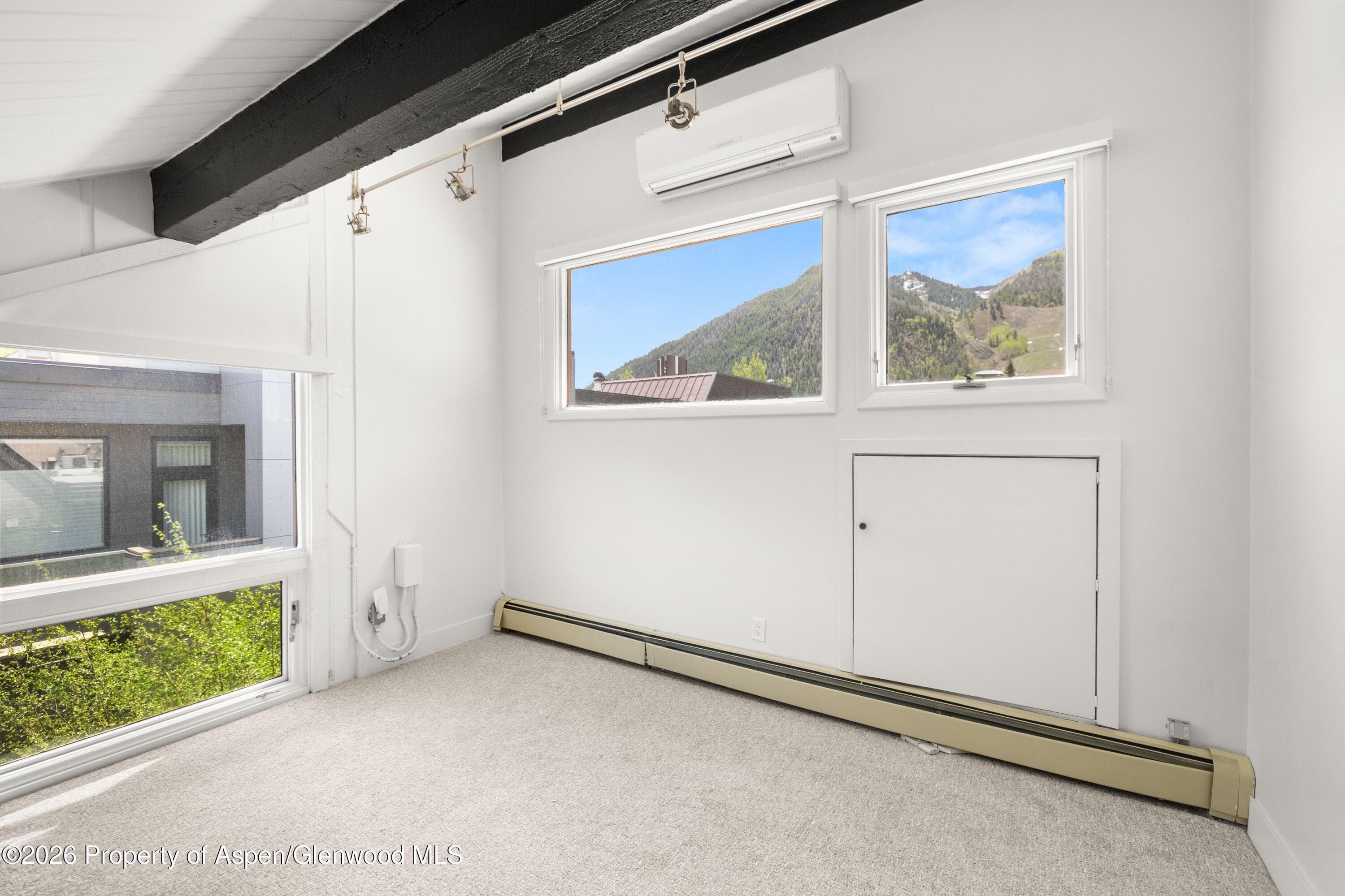 605 E Main Street #9, Aspen, CO 81611 - Photo 11