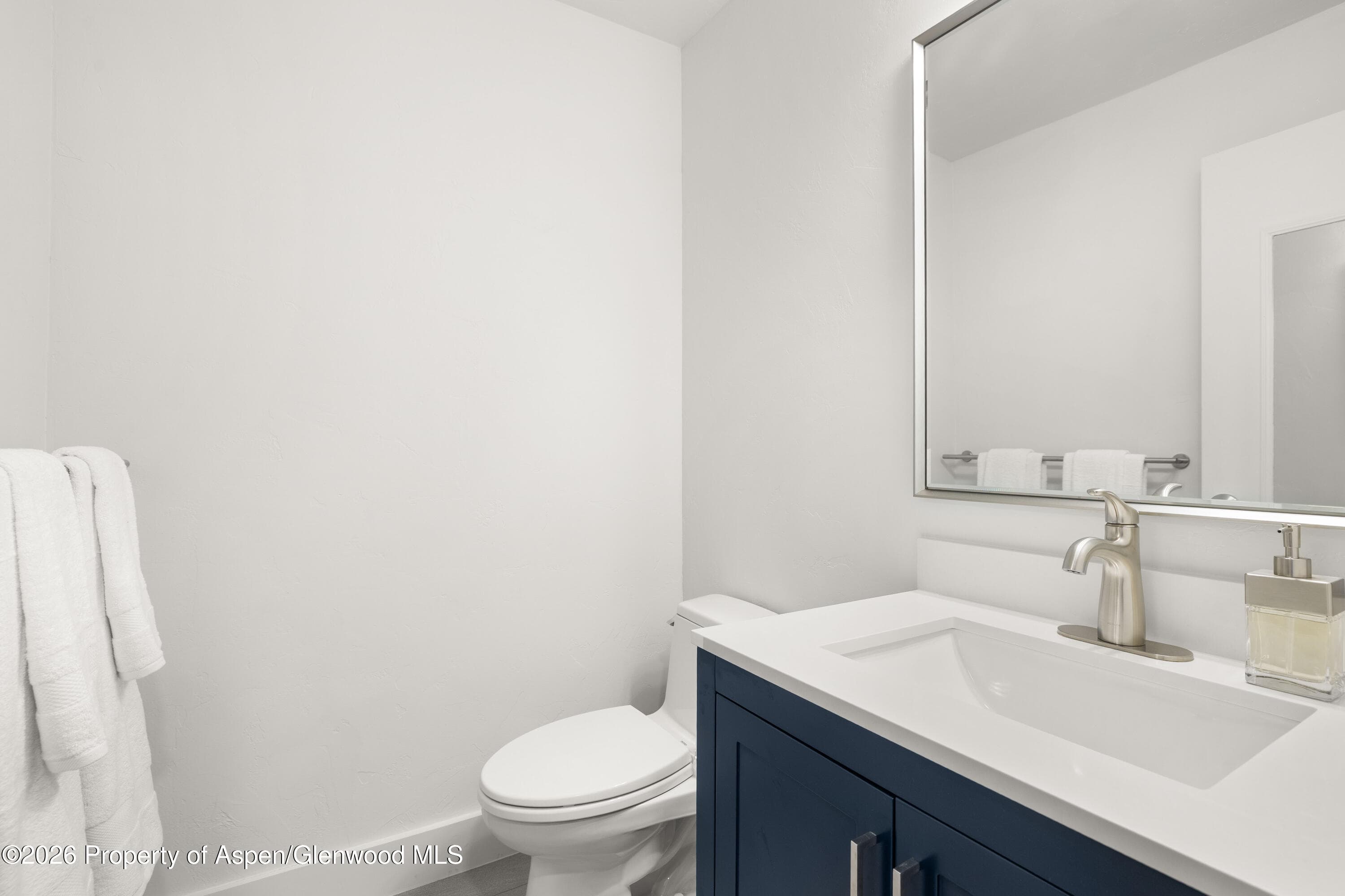 605 E Main Street #9, Aspen, CO 81611 - Photo 15
